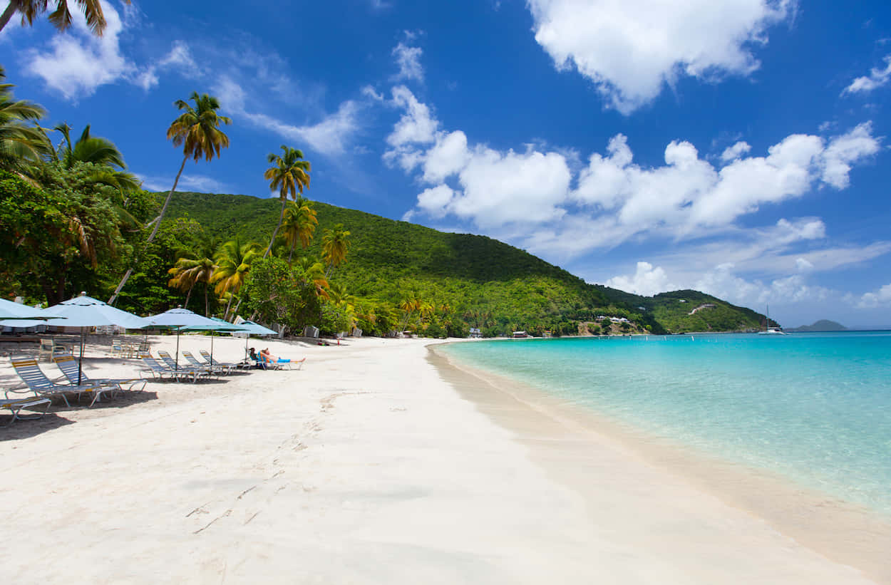 Caribbean Island, white sand beach, palm trees, SD Desktop Wallpaper