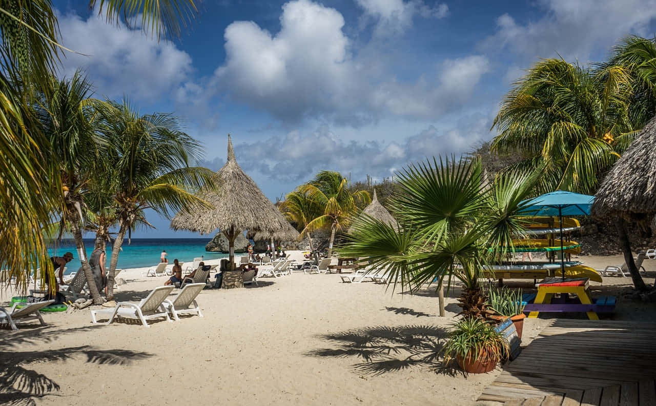 Caribbean Island, tropical beach, palm trees, HD Desktop Wallpaper