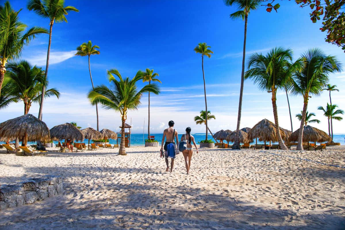Caribbean Island, tropical beach, palm trees, SD Desktop Wallpaper