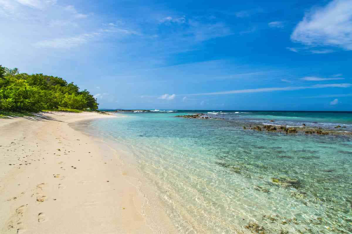 Caribbean Island, tropical beach, white sand, SD Desktop Wallpaper