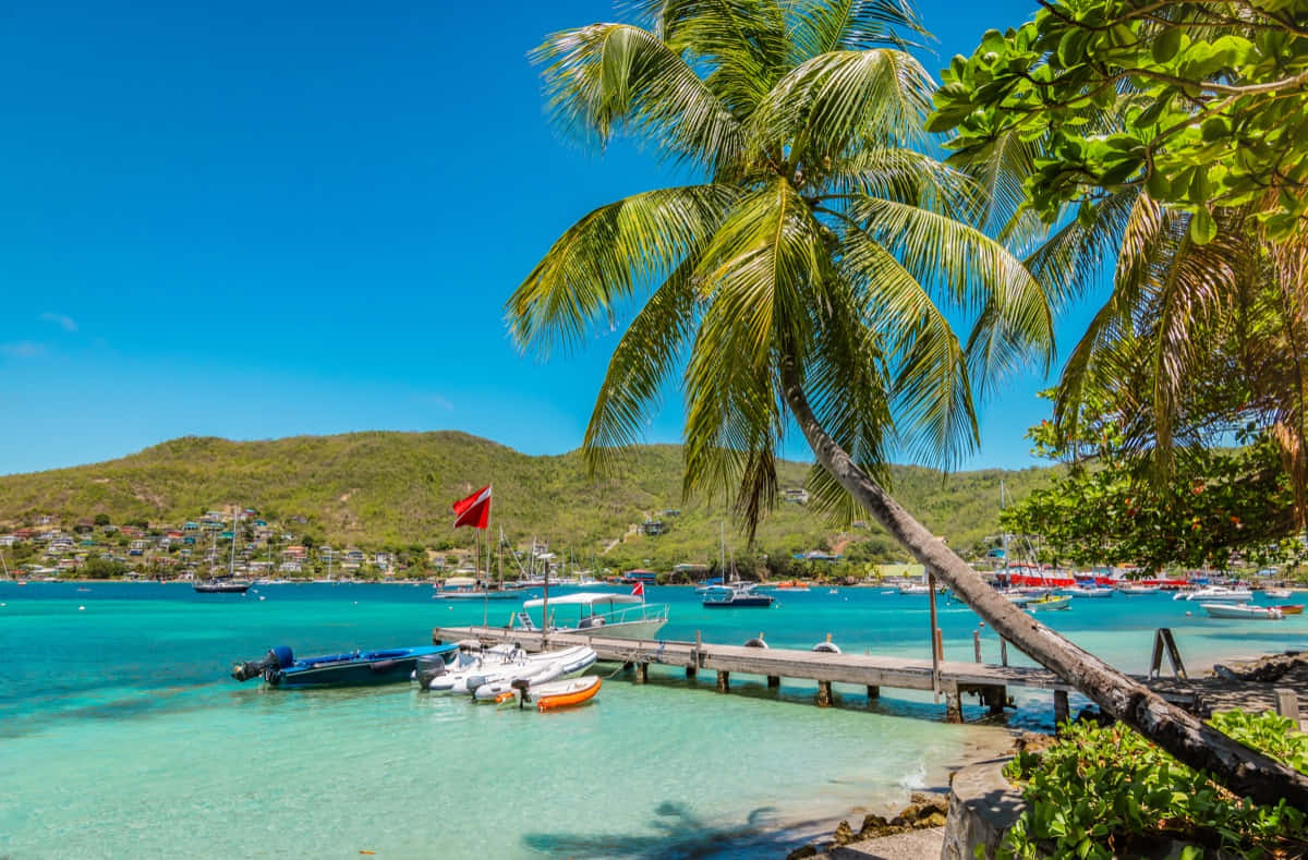 Caribbean Island, turquoise waters, palm trees, SD Desktop Wallpaper