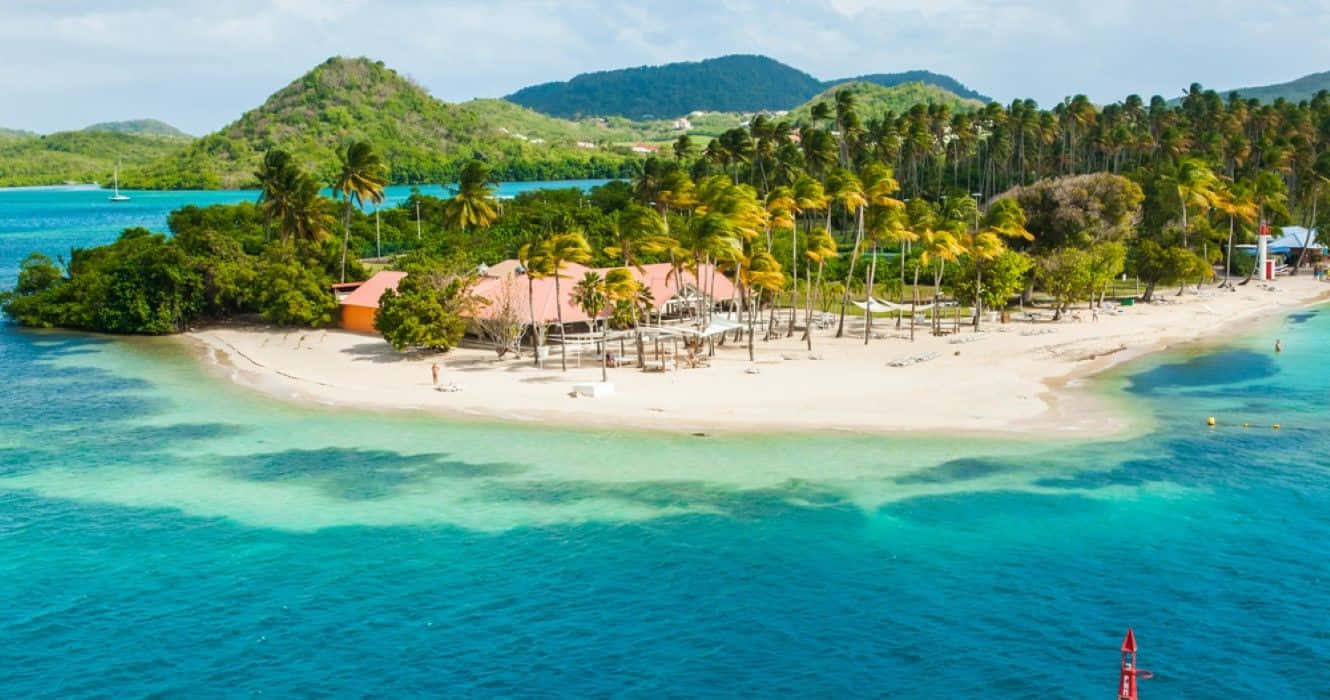 Caribbean Island, white sand beach, palm trees, HD Desktop Wallpaper