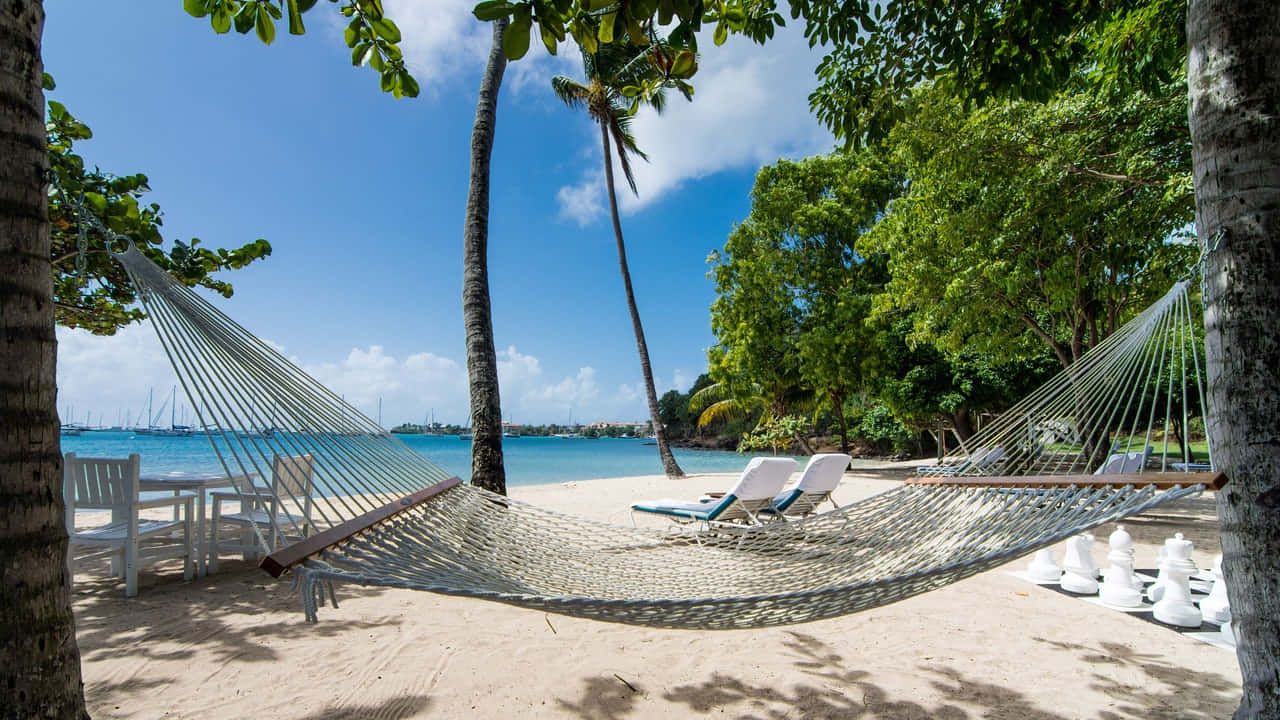 Caribbean Island, white hammock, palm trees, HD Desktop Wallpaper