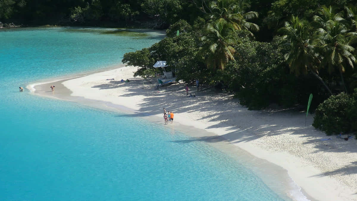 Caribbean Island, pristine tropical beach, turquoise waters, SD Desktop Wallpaper