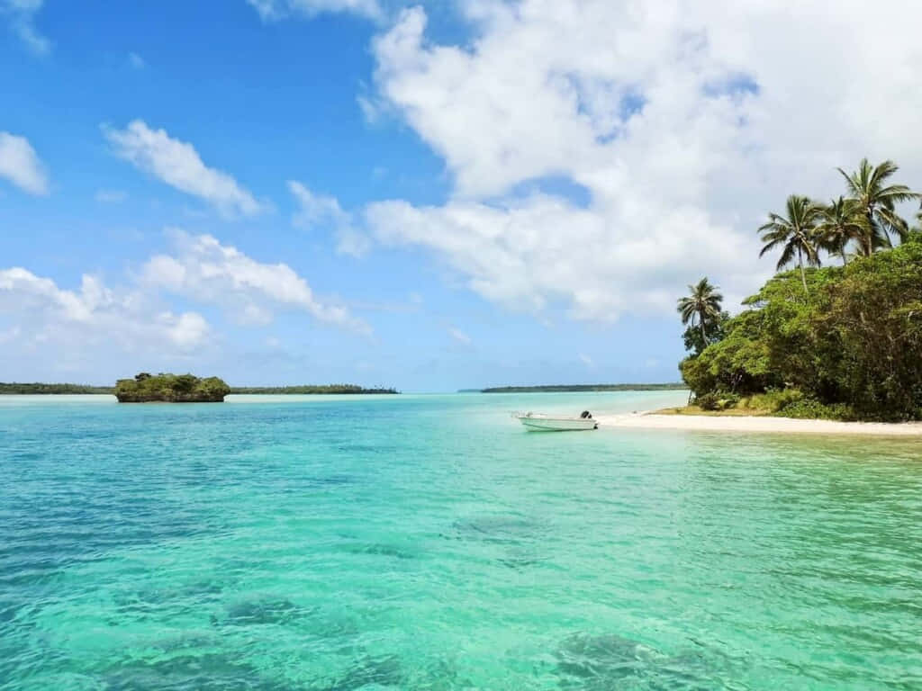 Caribbean Island, turquoise waters, palm trees, SD Desktop Wallpaper