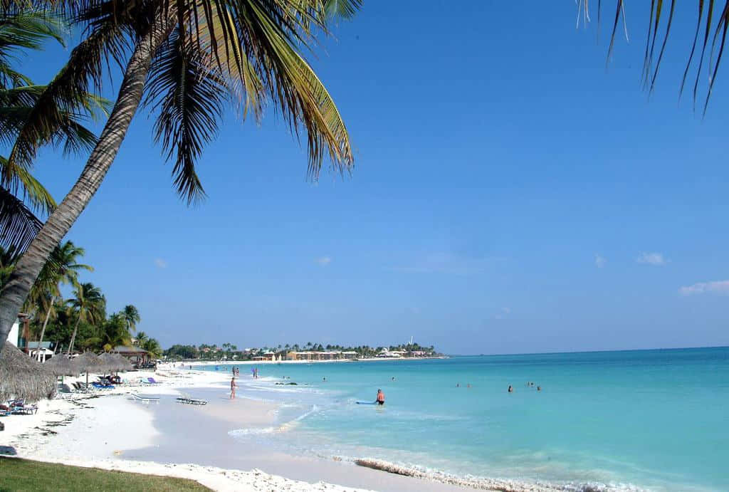 Caribbean Island, white sand, turquoise water, SD Desktop Wallpaper