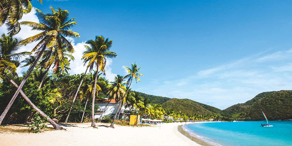 Caribbean Island, white sand, palm trees, SD Desktop Wallpaper
