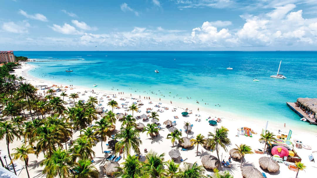 Caribbean Beach, sunset bliss, turquoise waters, SD Desktop Wallpaper