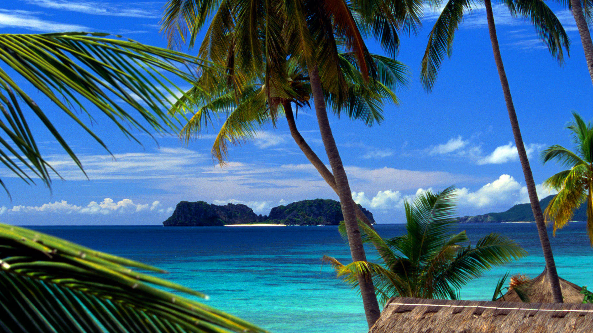 Caribbean, tropical paradise, palm trees, Full HD Desktop Wallpaper
