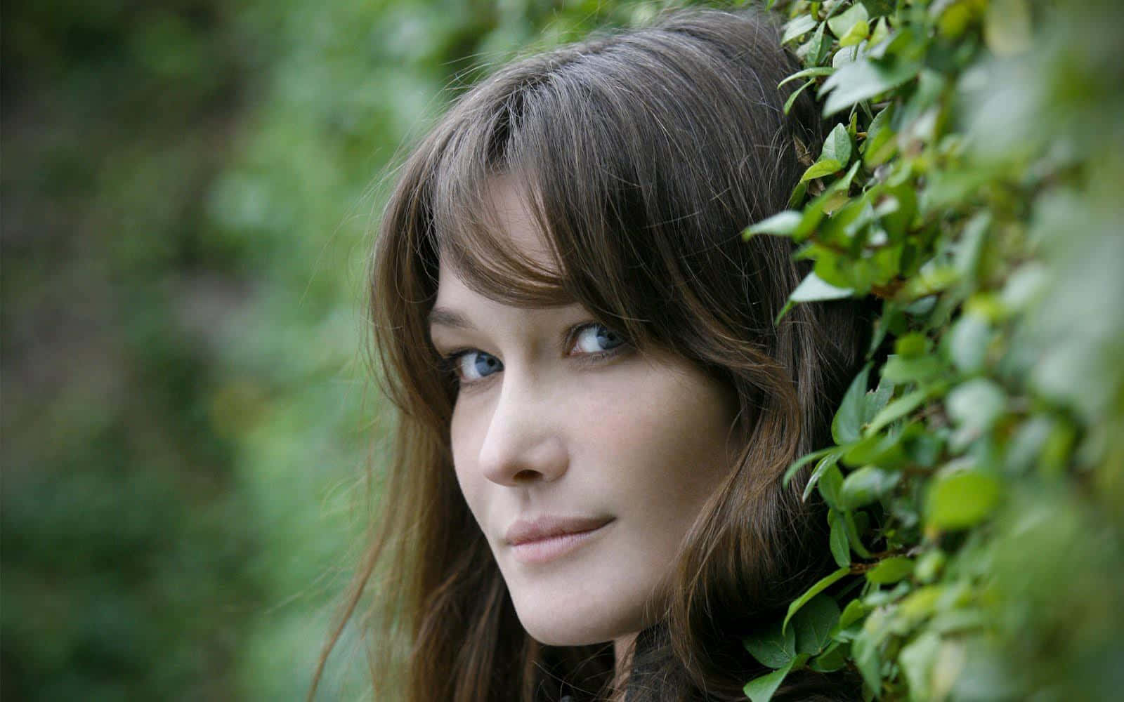 Carla Bruni, elegant black dress, lush green foliage, HD Desktop Wallpaper
