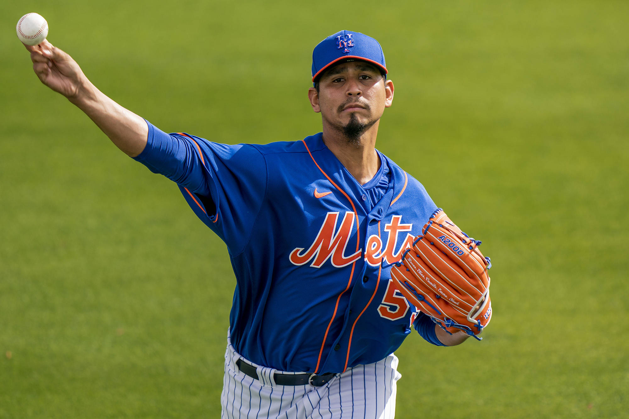 Carlos Carrasco, blue Mets uniform, vibrant green field, Full HD Desktop Wallpaper