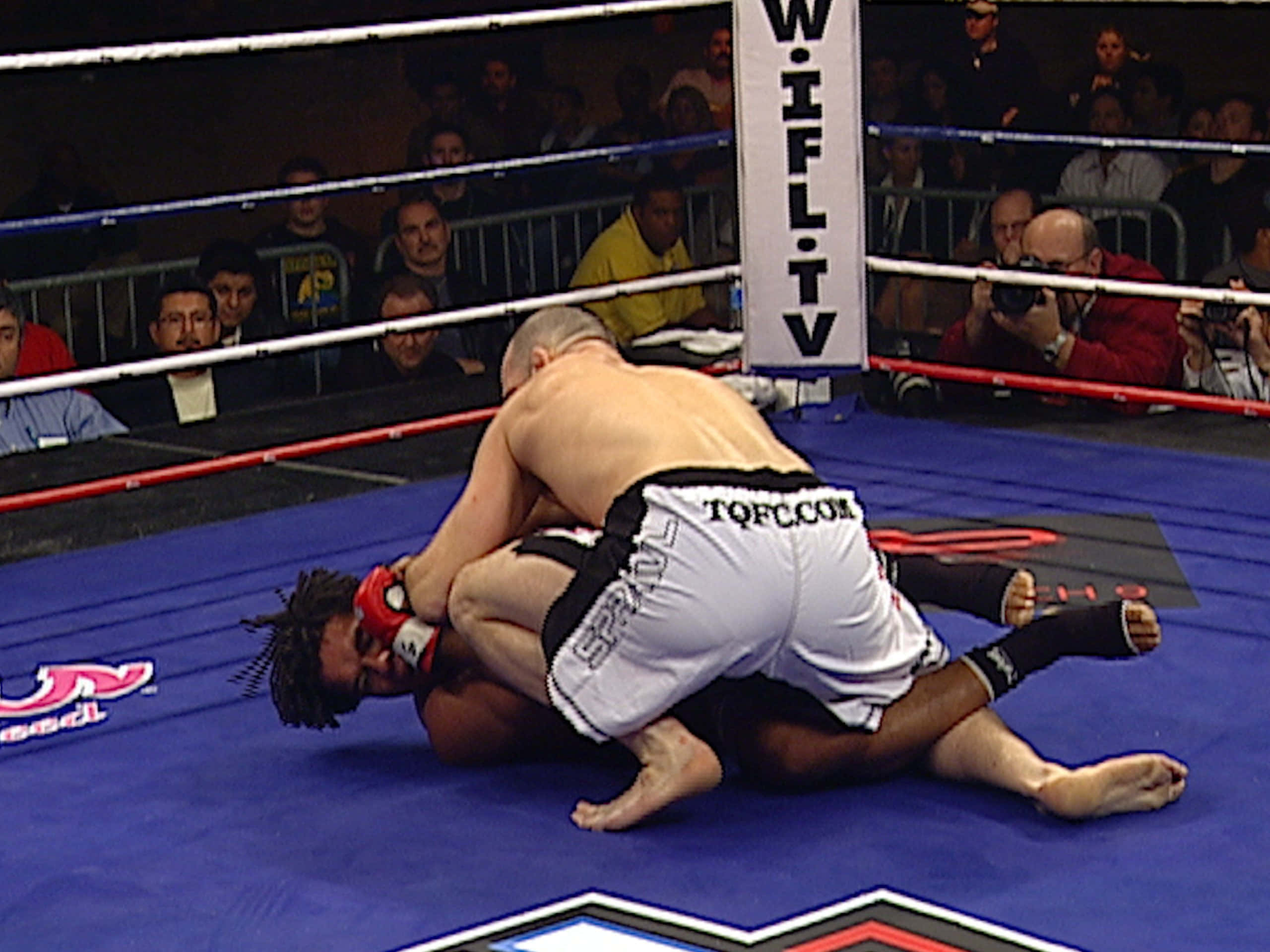 Carlos Newton, MMA Championship Fight, blue MMA mat, 2K Desktop Wallpaper