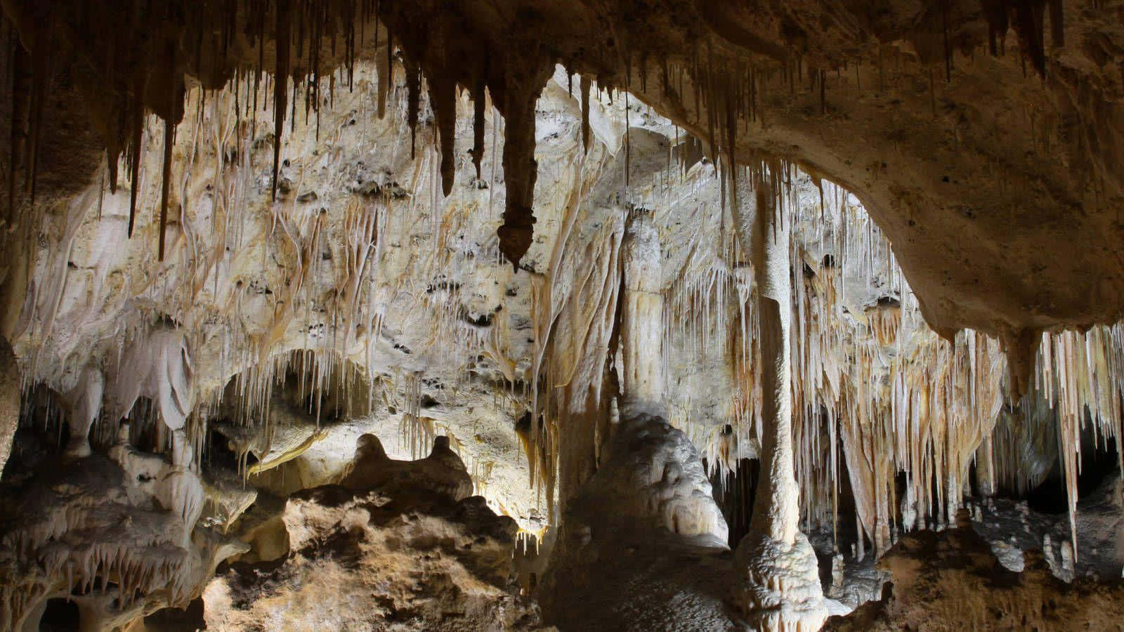 Carlsbad Caverns National Park, stalactites, stalagmites, HD Desktop Wallpaper