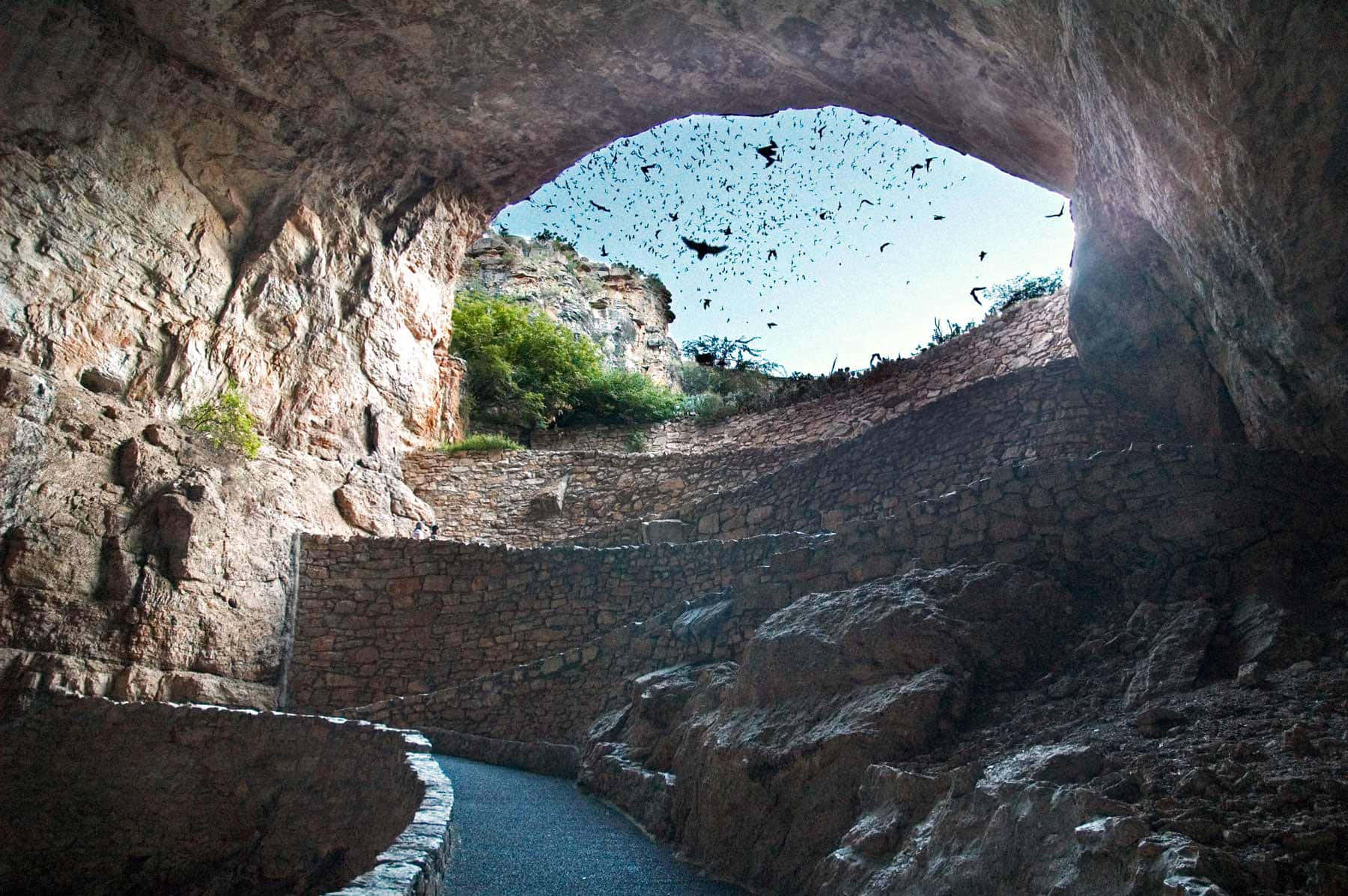 Carlsbad Caverns National Park, cave view, stone path, HD Desktop Wallpaper