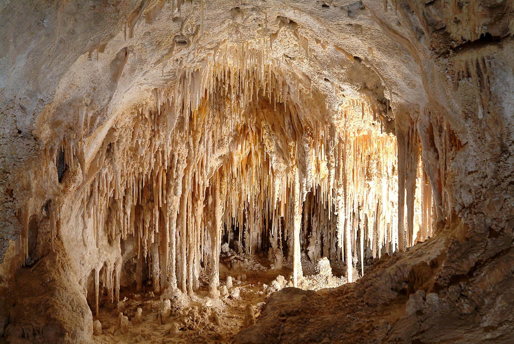 Carlsbad Caverns National Park, golden stalactites, textured ceiling, HD Desktop Wallpaper