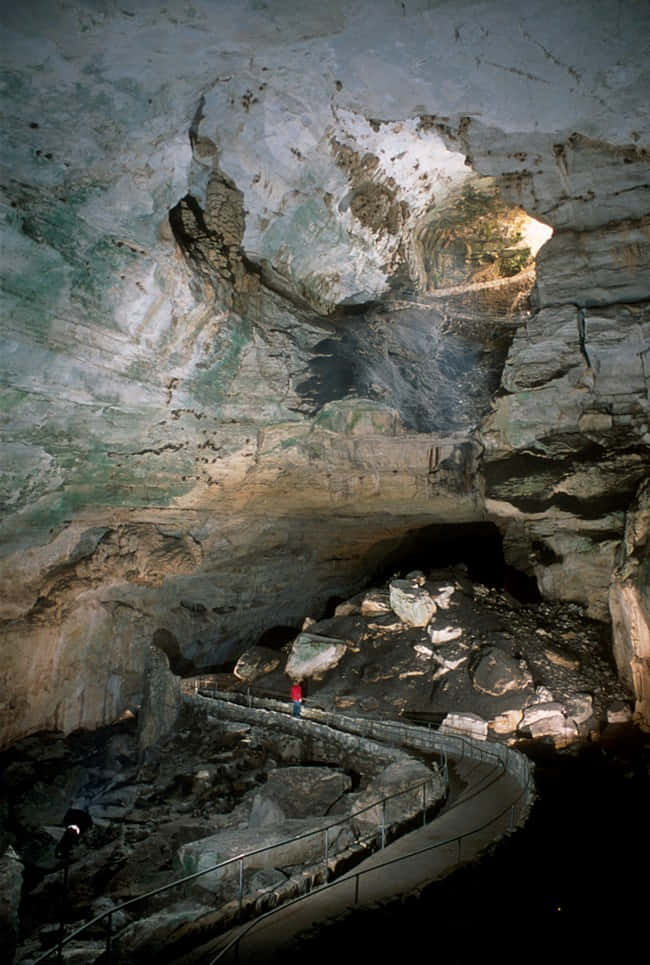 Carlsbad Caverns National Park, limestone cave, winding path, SD Phone Wallpaper