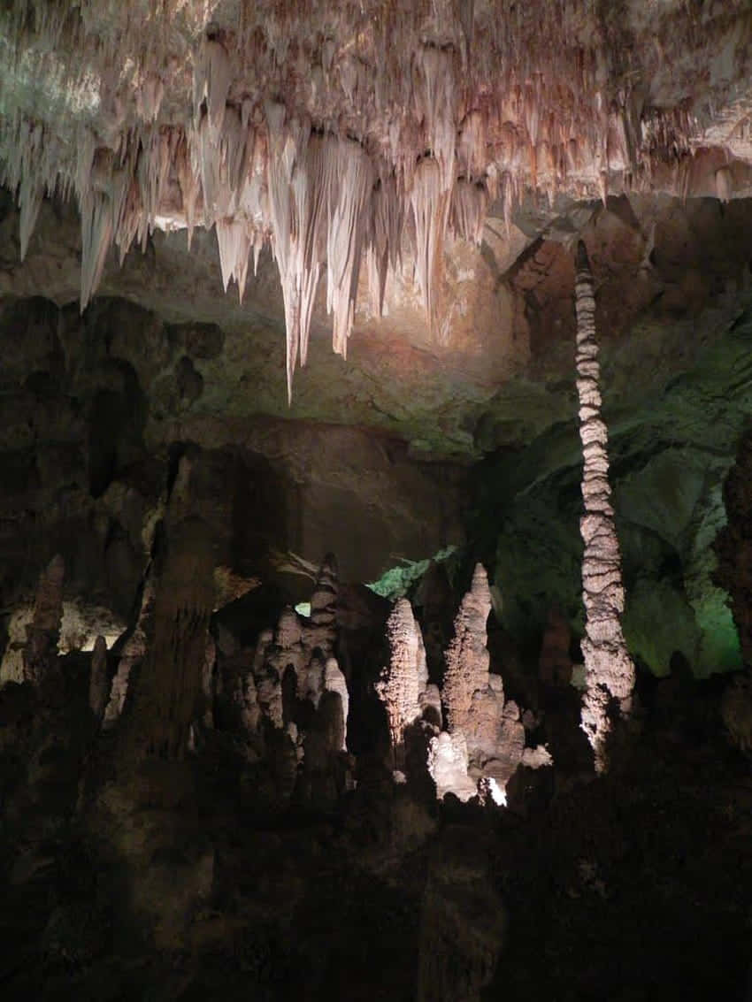 stalactites, stalagmites, Carlsbad Caverns National Park, SD Phone Wallpaper