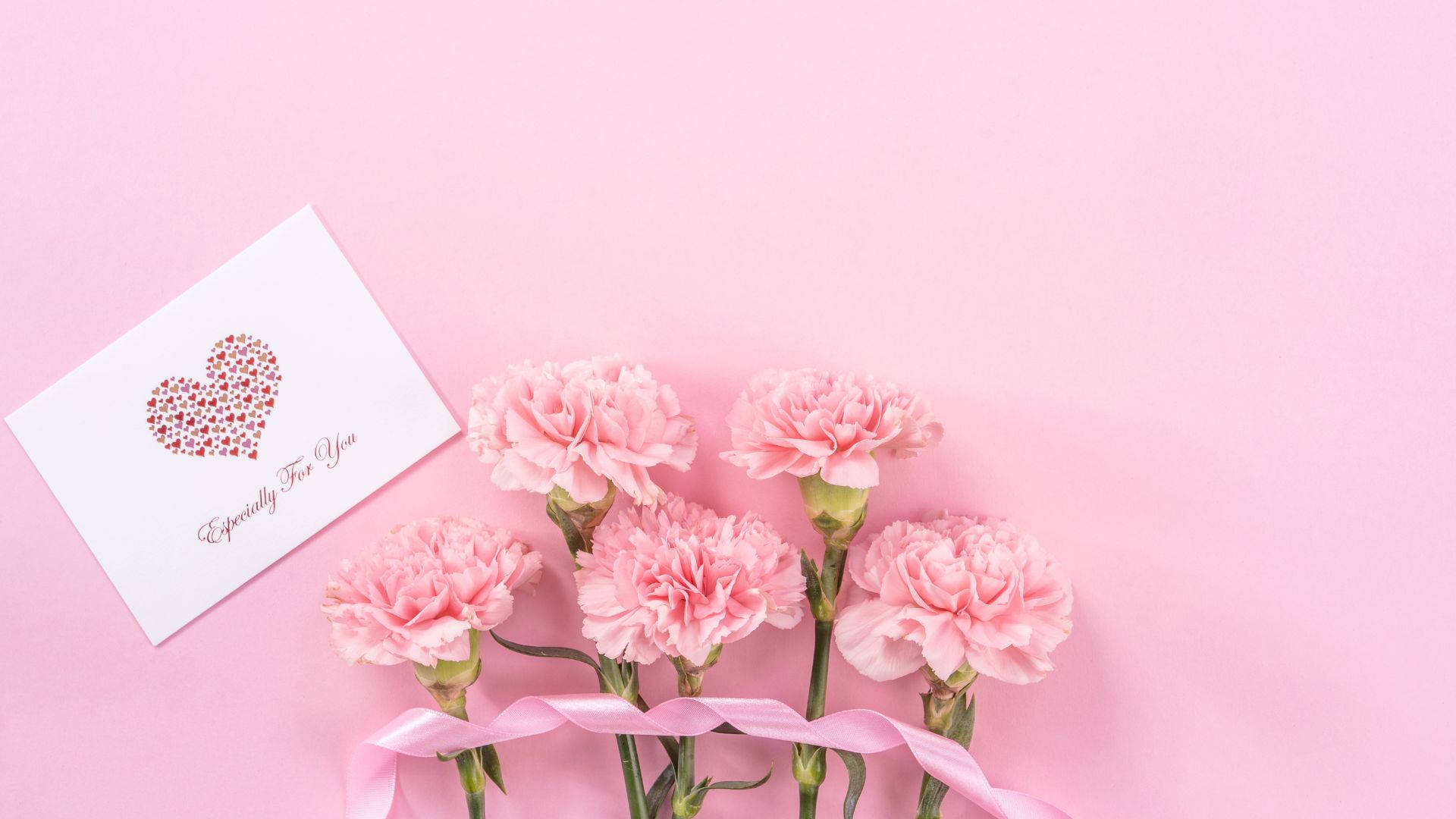 baby pink carnation, glitter heart, soft pink background, Full HD Desktop Wallpaper