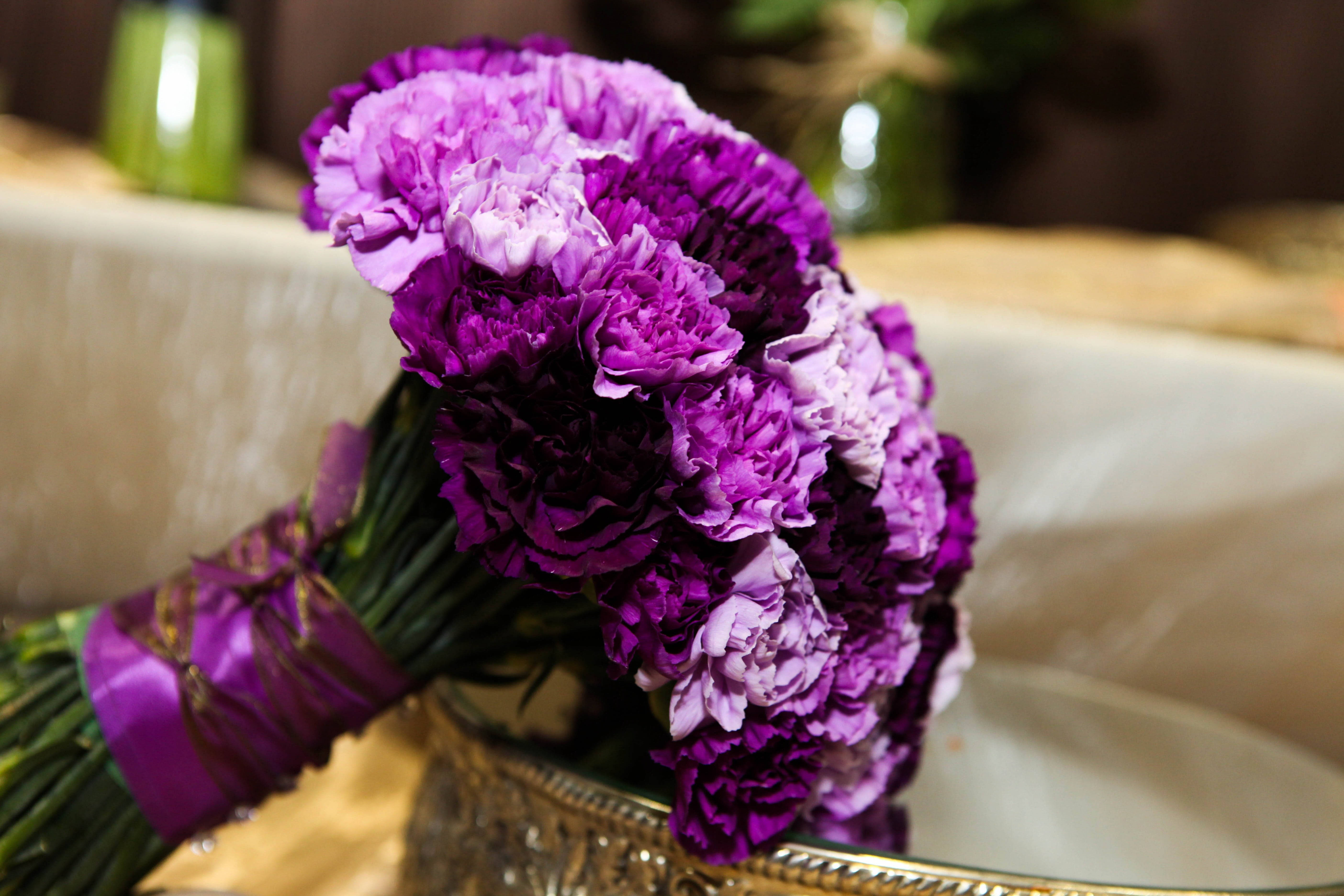 purple carnation, deep purple carnations, lavender carnations, 5K Desktop Wallpaper