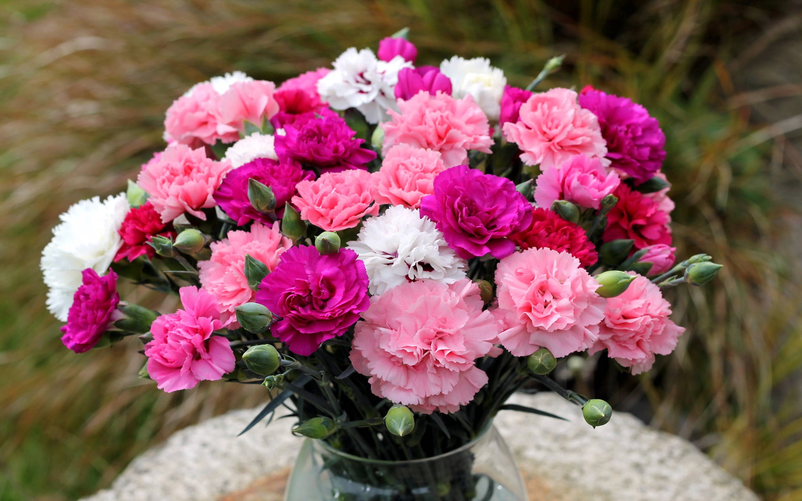 carnation centerpiece vase, pink magenta and white carnations, glass vase, 2K Desktop Wallpaper