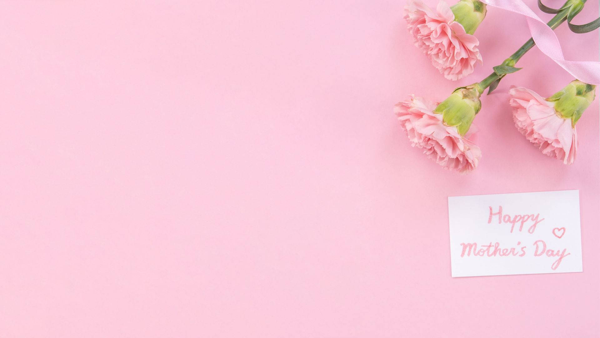 Baby Pink Carnations, Mother's Day card, soft pink background, Full HD Desktop Wallpaper
