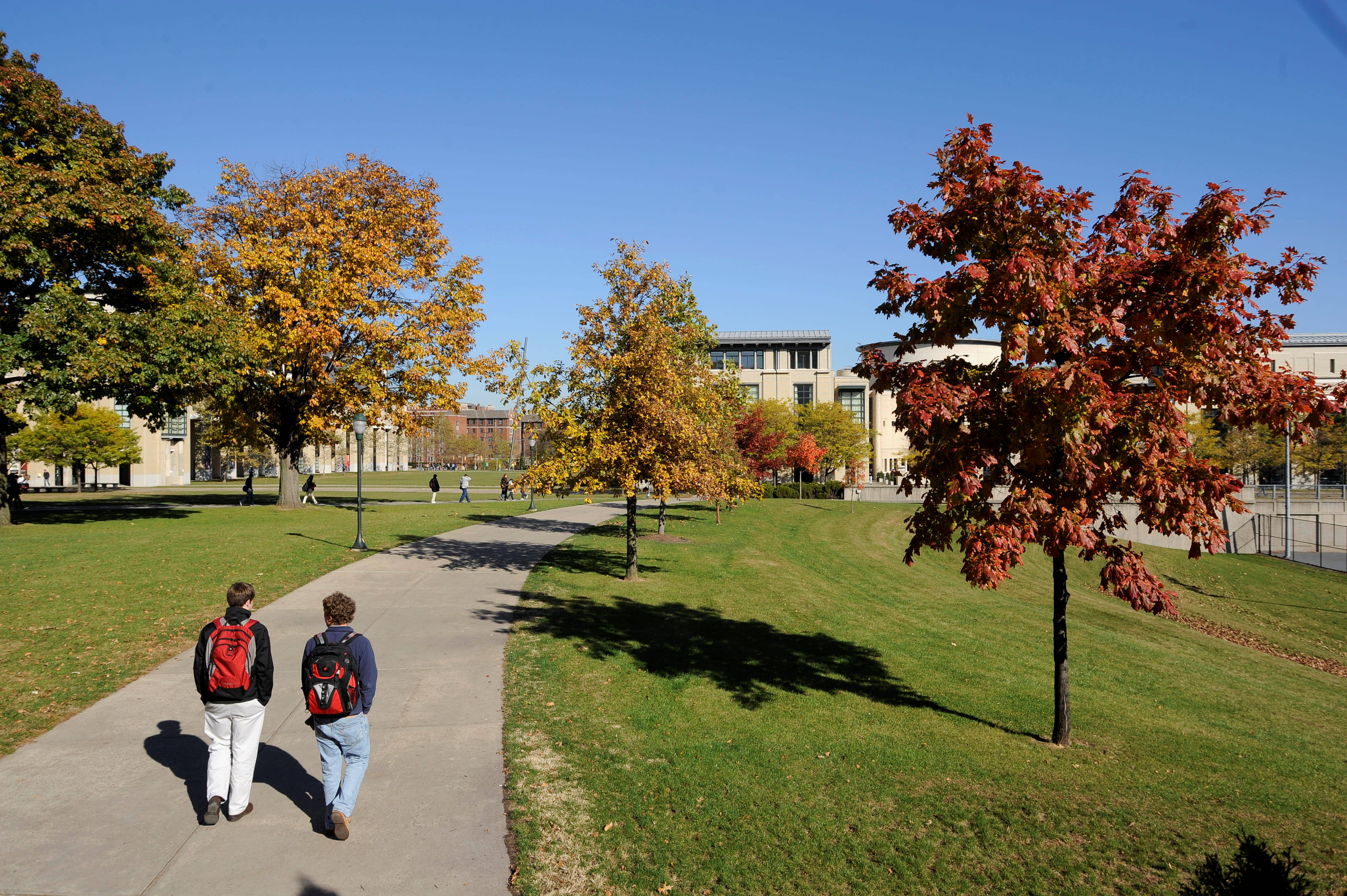 Carnegie Mellon University, red backpacks, sunlit campus path, 4K Desktop Wallpaper