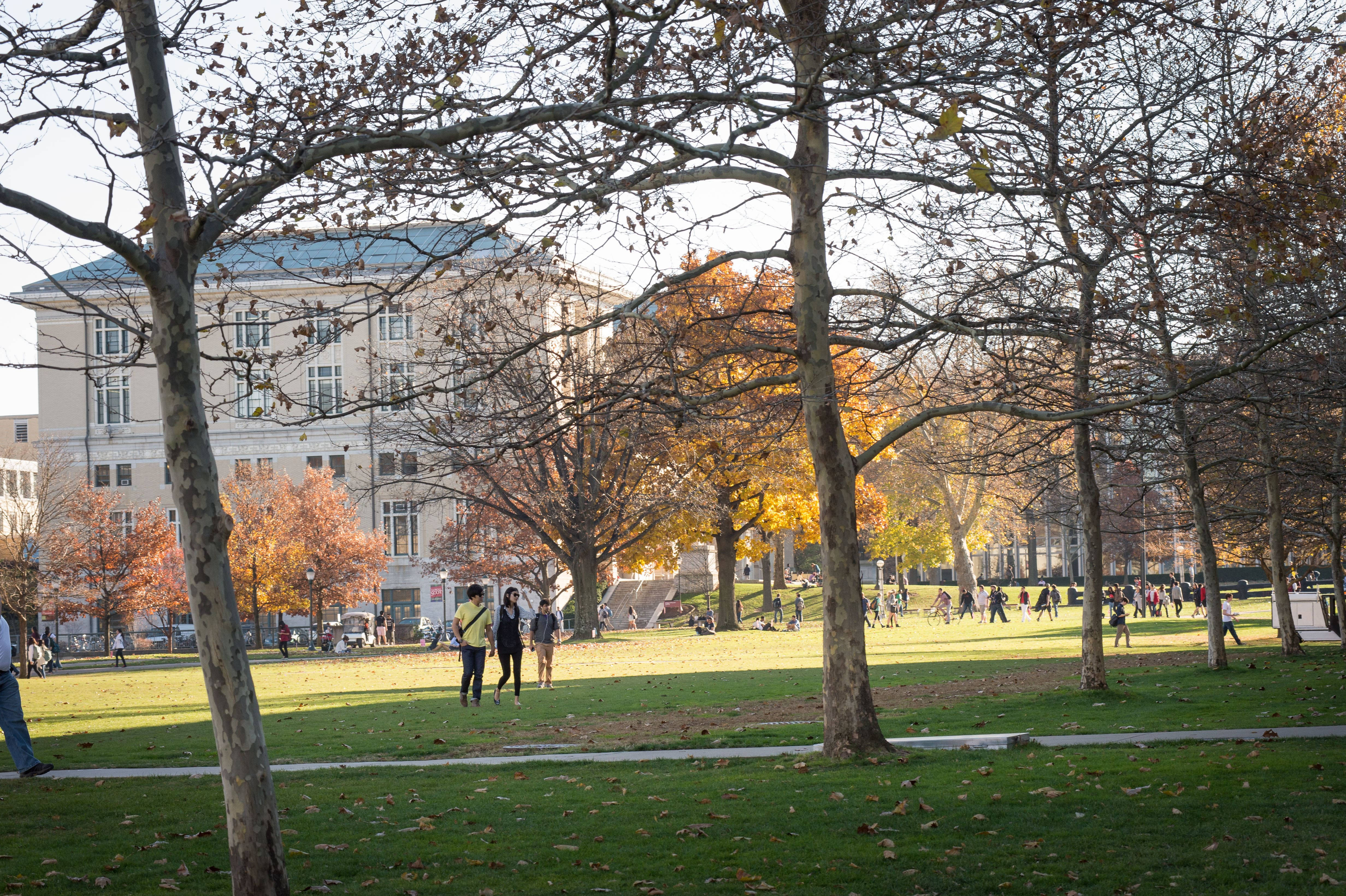 Carnegie Mellon University, field, trees, 4K Desktop Wallpaper