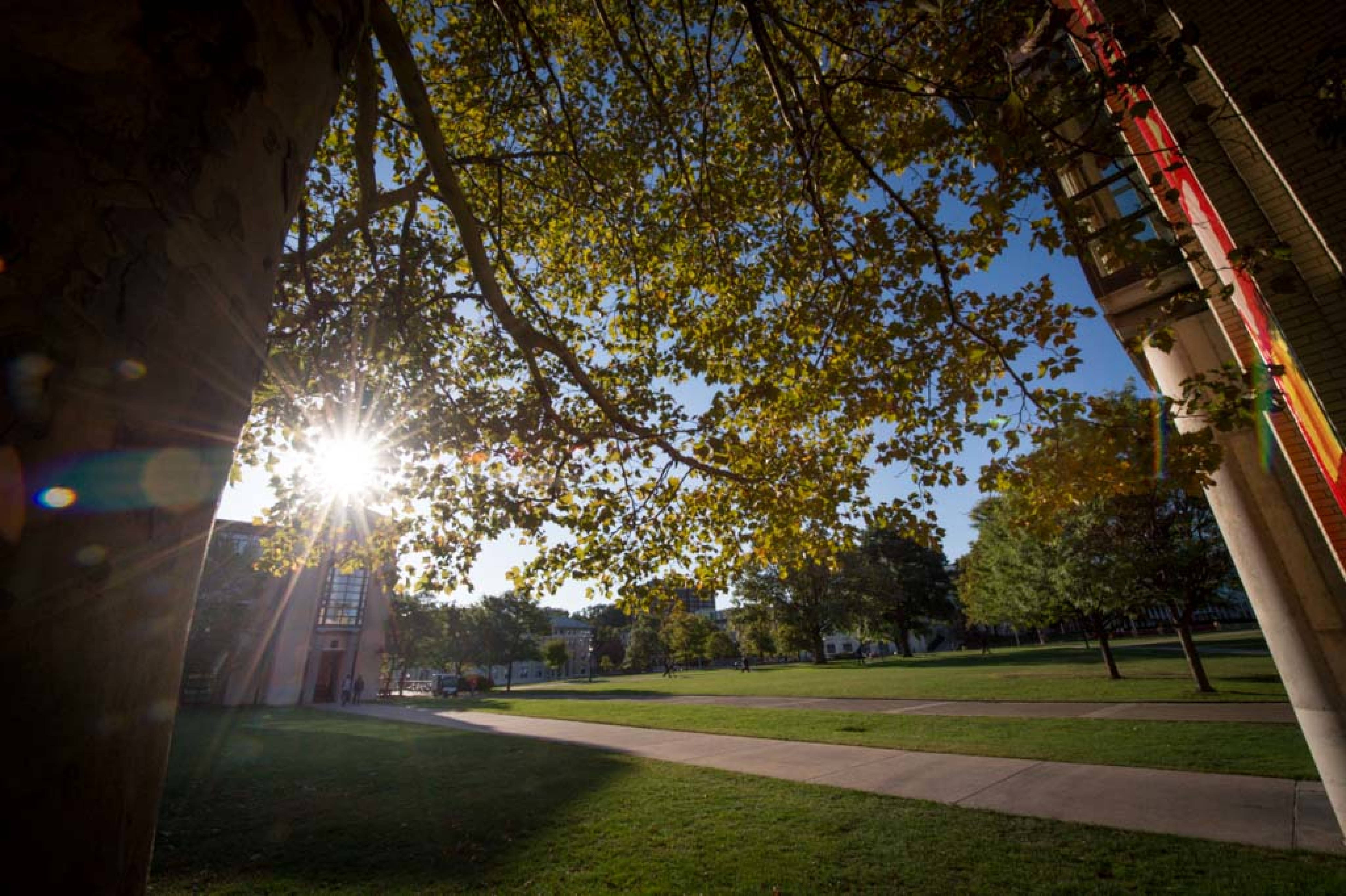 Carnegie Mellon University, autumn leaves, campus pathway, 4K Desktop Wallpaper
