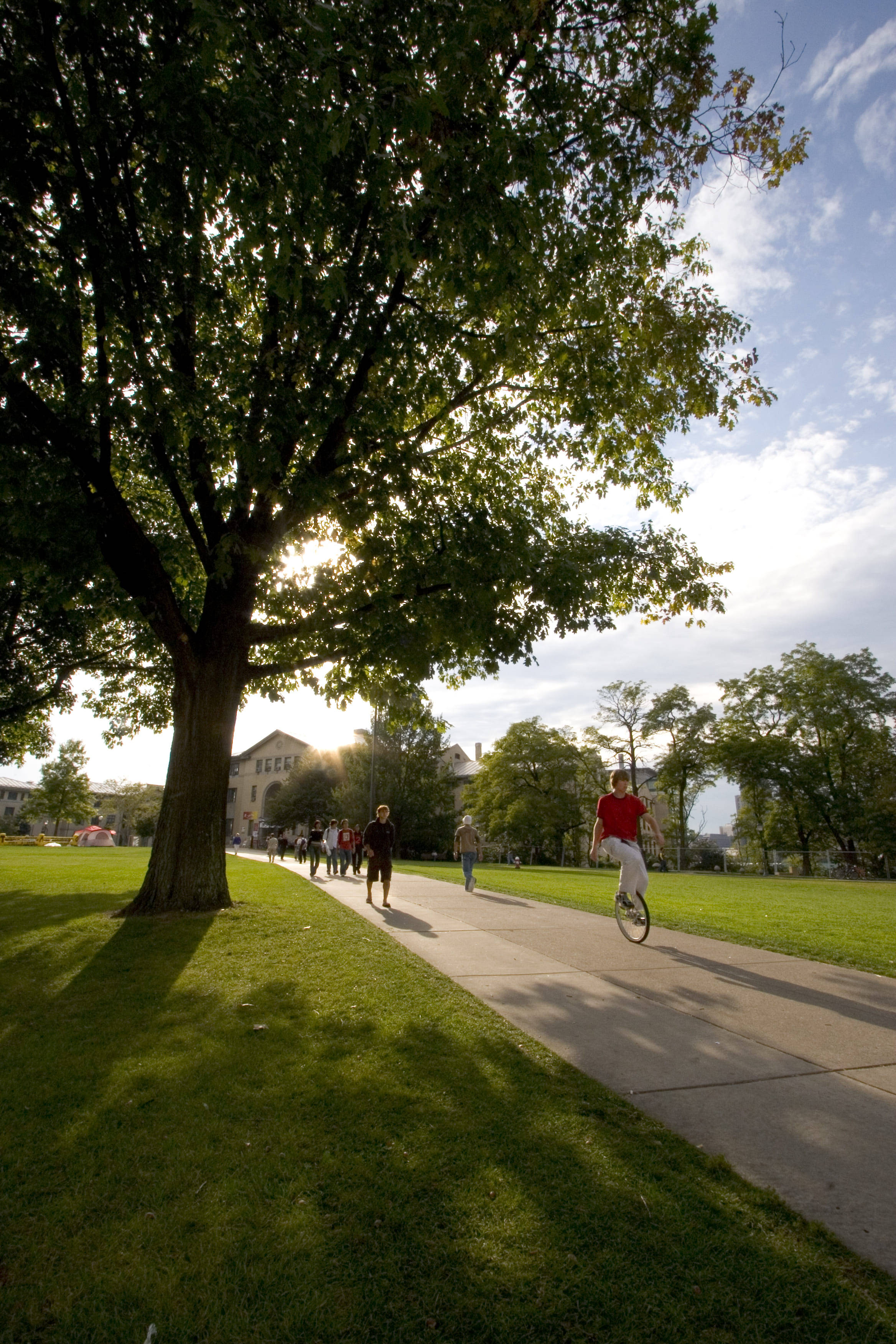 Carnegie Mellon University, pathway, sunlit path, 2K Phone Wallpaper