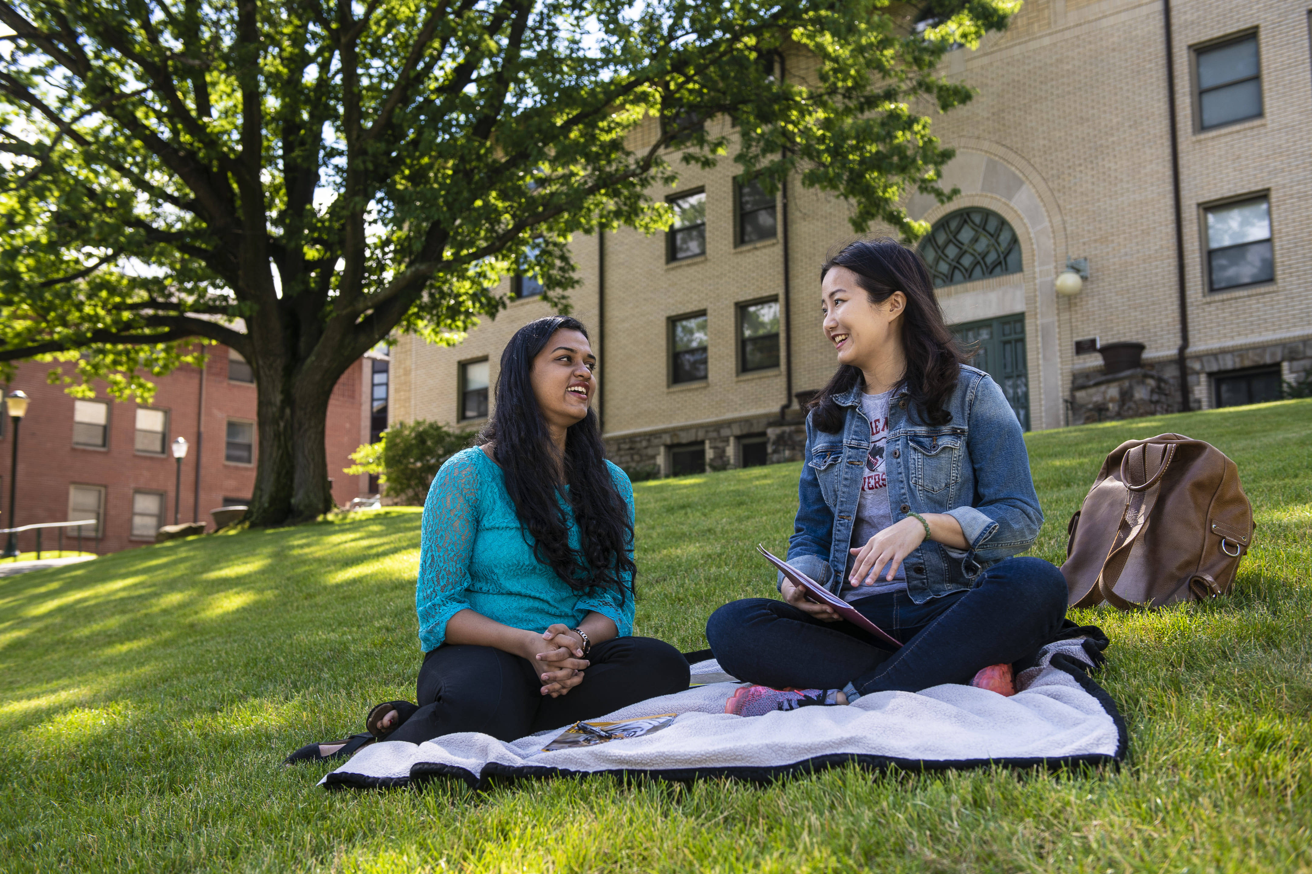 Carnegie Mellon University, grass, sunny campus lawn, 4K Desktop Wallpaper