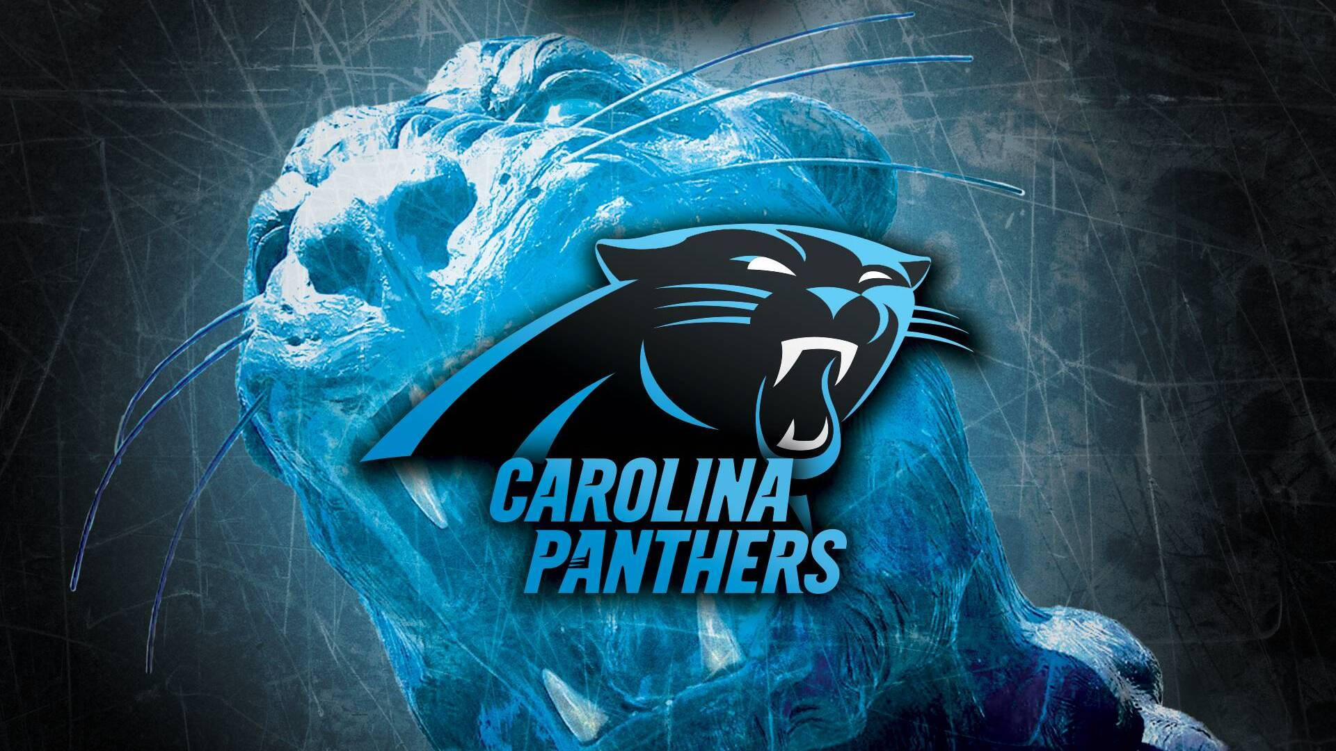 Carolina Panthers, roaring blue panther head, Carolina Panthers logo, Full HD Desktop Wallpaper