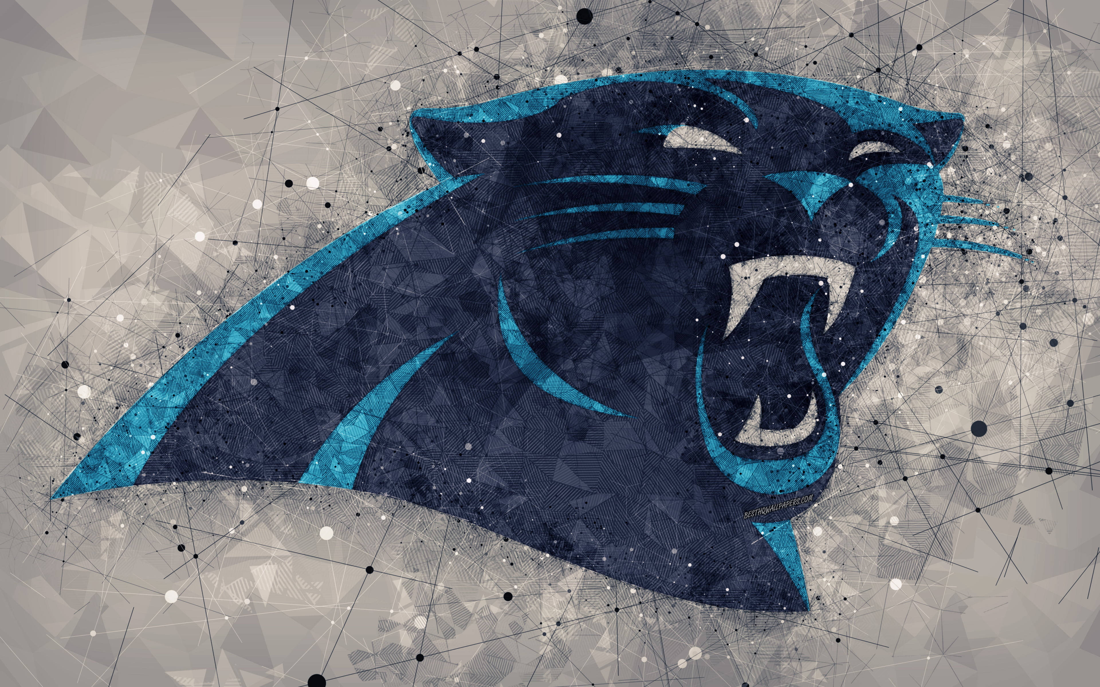 Carolina Panthers Logo, blue, black, 4K Desktop Wallpaper