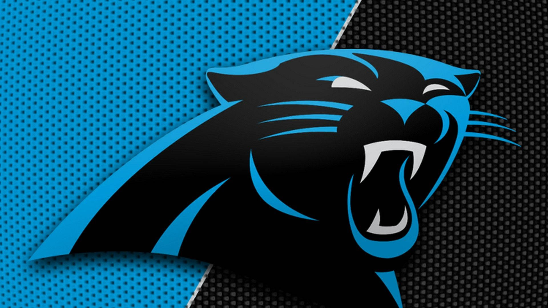 Carolina Panthers, black panther logo, blue accents, Full HD Desktop Wallpaper