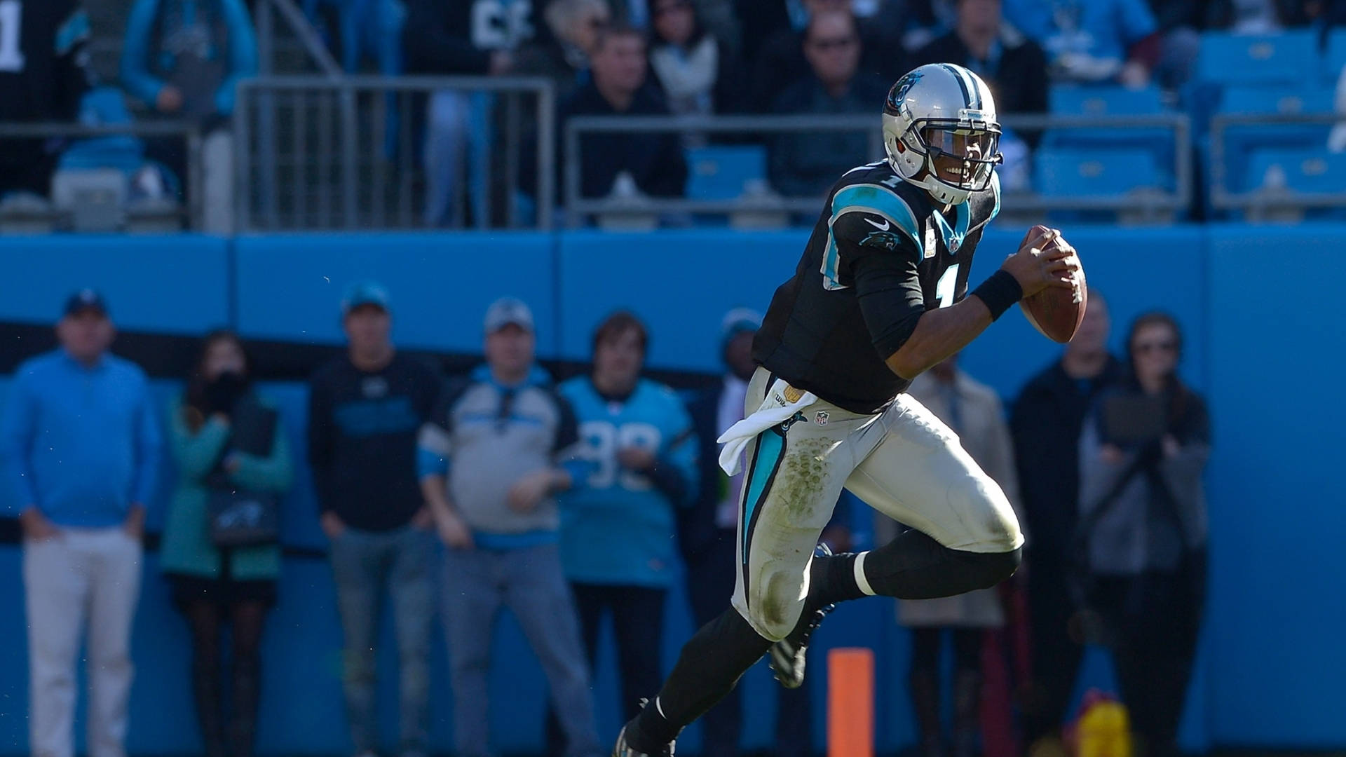 Carolina Panthers, quarterback, sunny daytime, Full HD Desktop Wallpaper