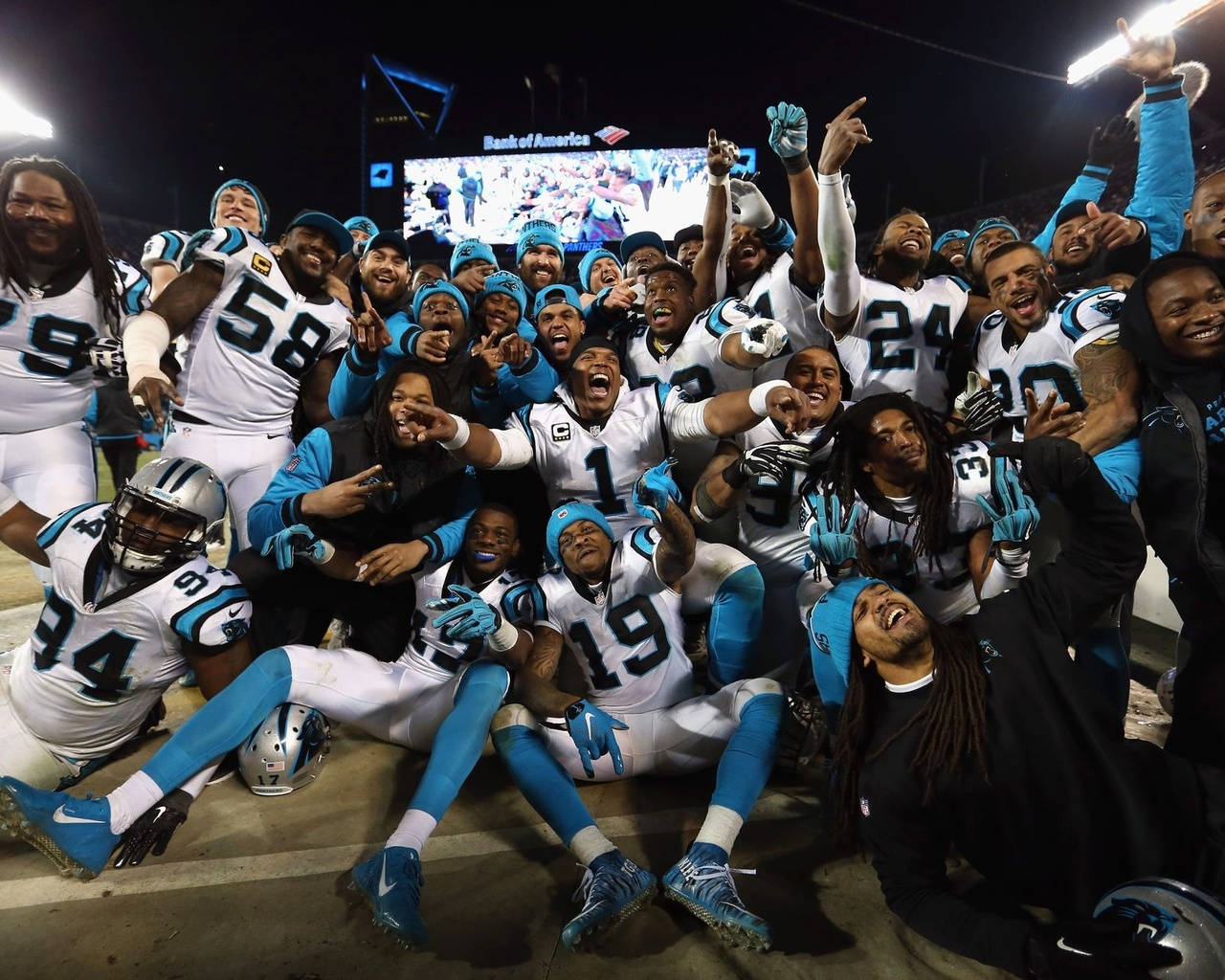Carolina Panthers, night, field, HD Desktop Wallpaper