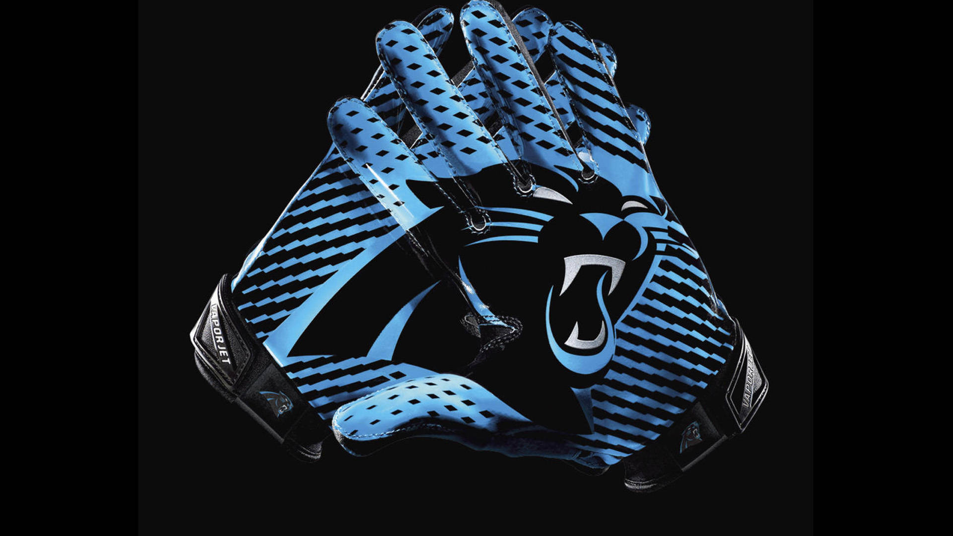 Carolina Panthers, blue and black, roaring panther logo, Full HD Desktop Wallpaper