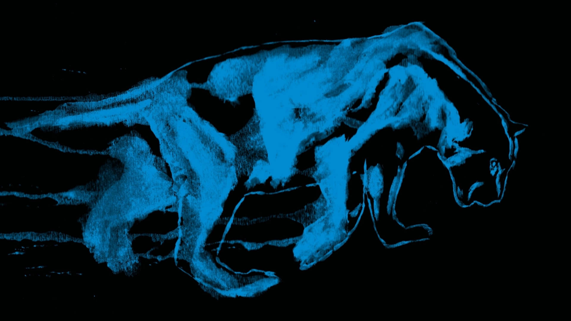 Carolina Panthers, blue, chalk, Full HD Desktop Wallpaper