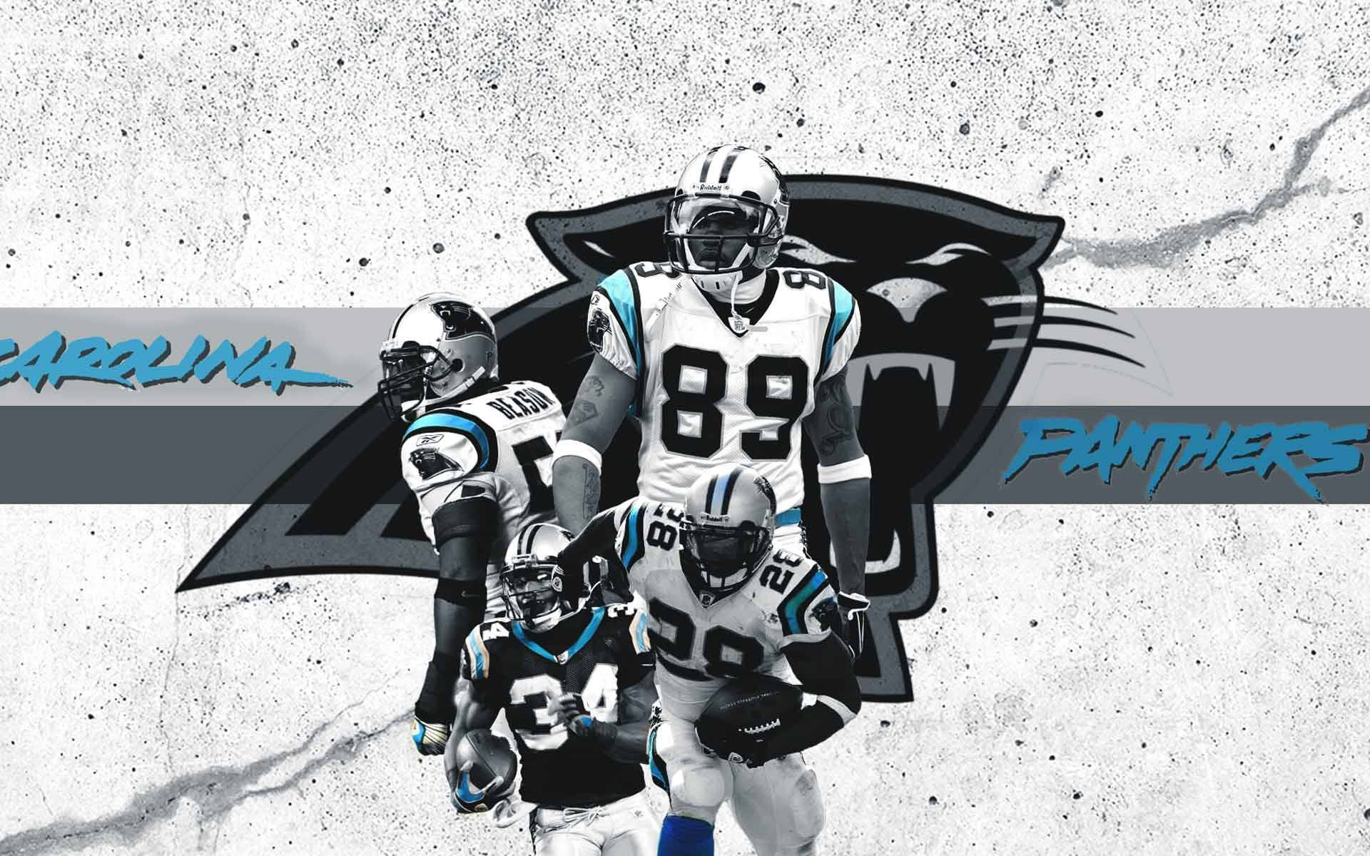 Carolina Panthers, legend players, football players, Full HD Desktop Wallpaper