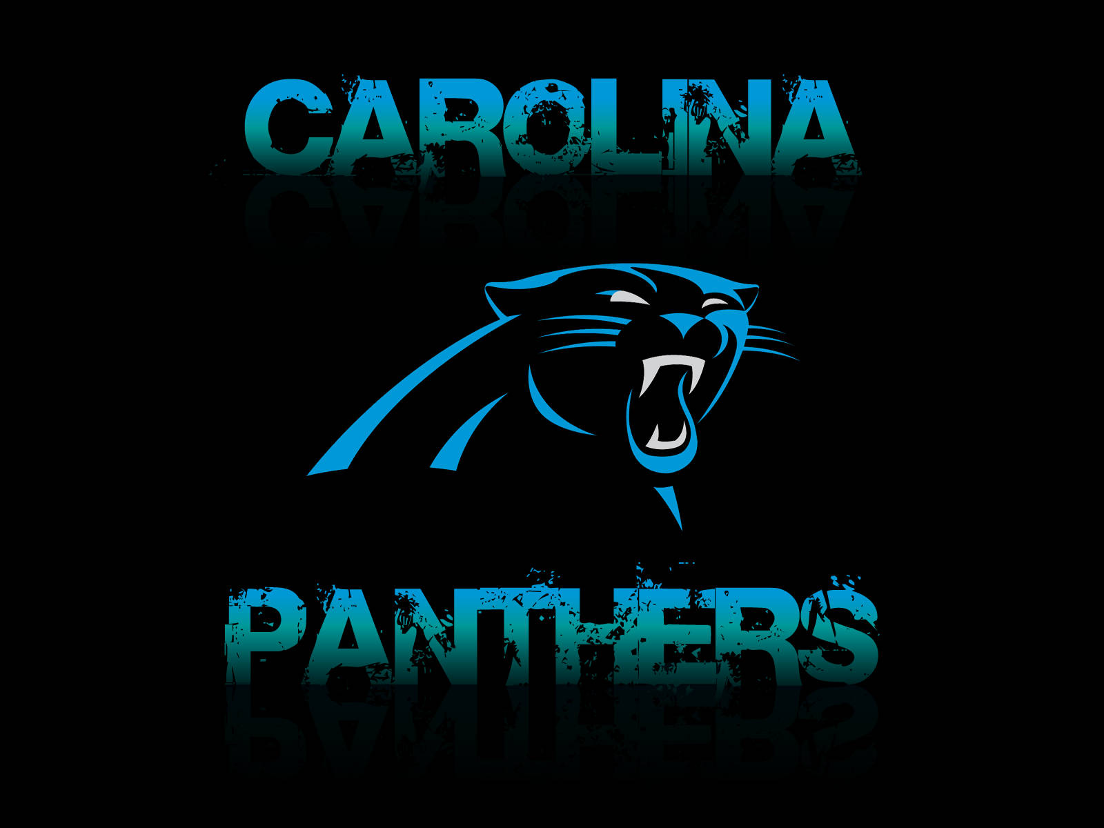 Carolina Panthers, blue, roaring panther, HD Desktop Wallpaper