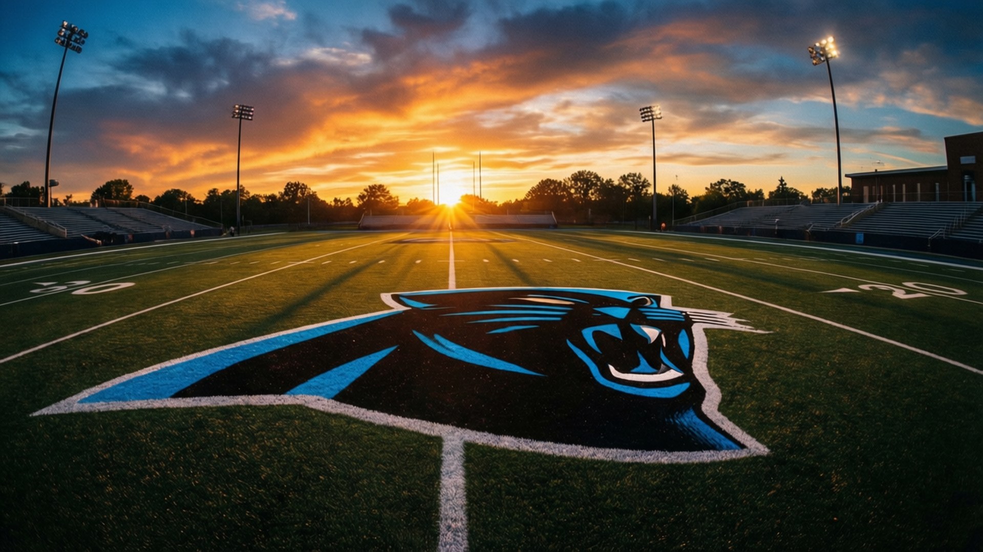 Carolina Panthers, Panthers Logo, sunset, Full HD Desktop Wallpaper