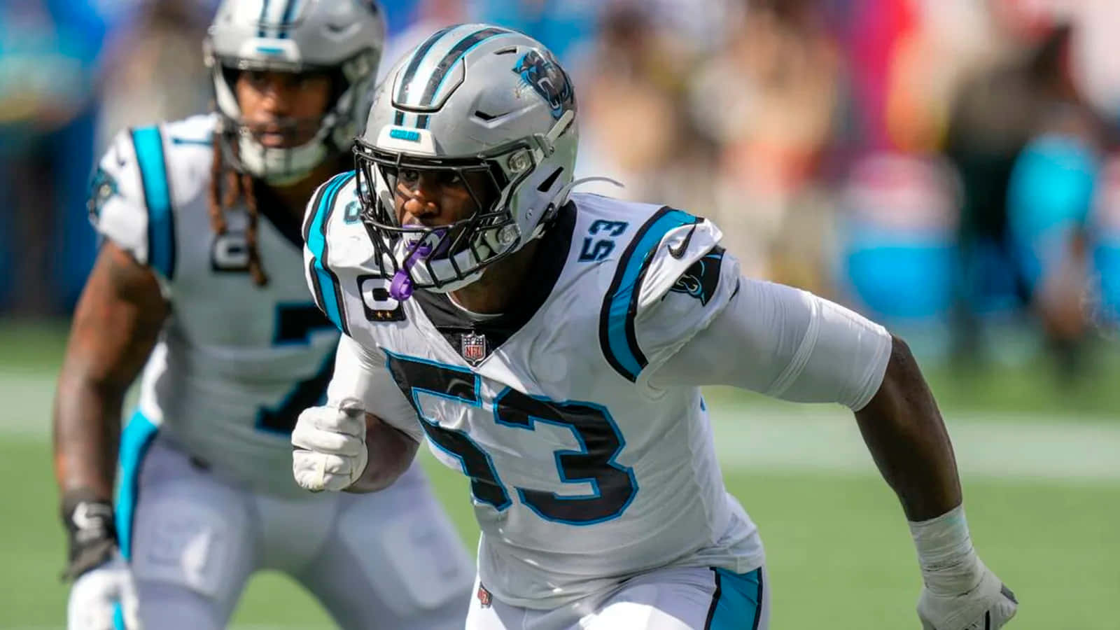 Carolina Panthers, white and teal uniform, sunlit field, HD Desktop Wallpaper