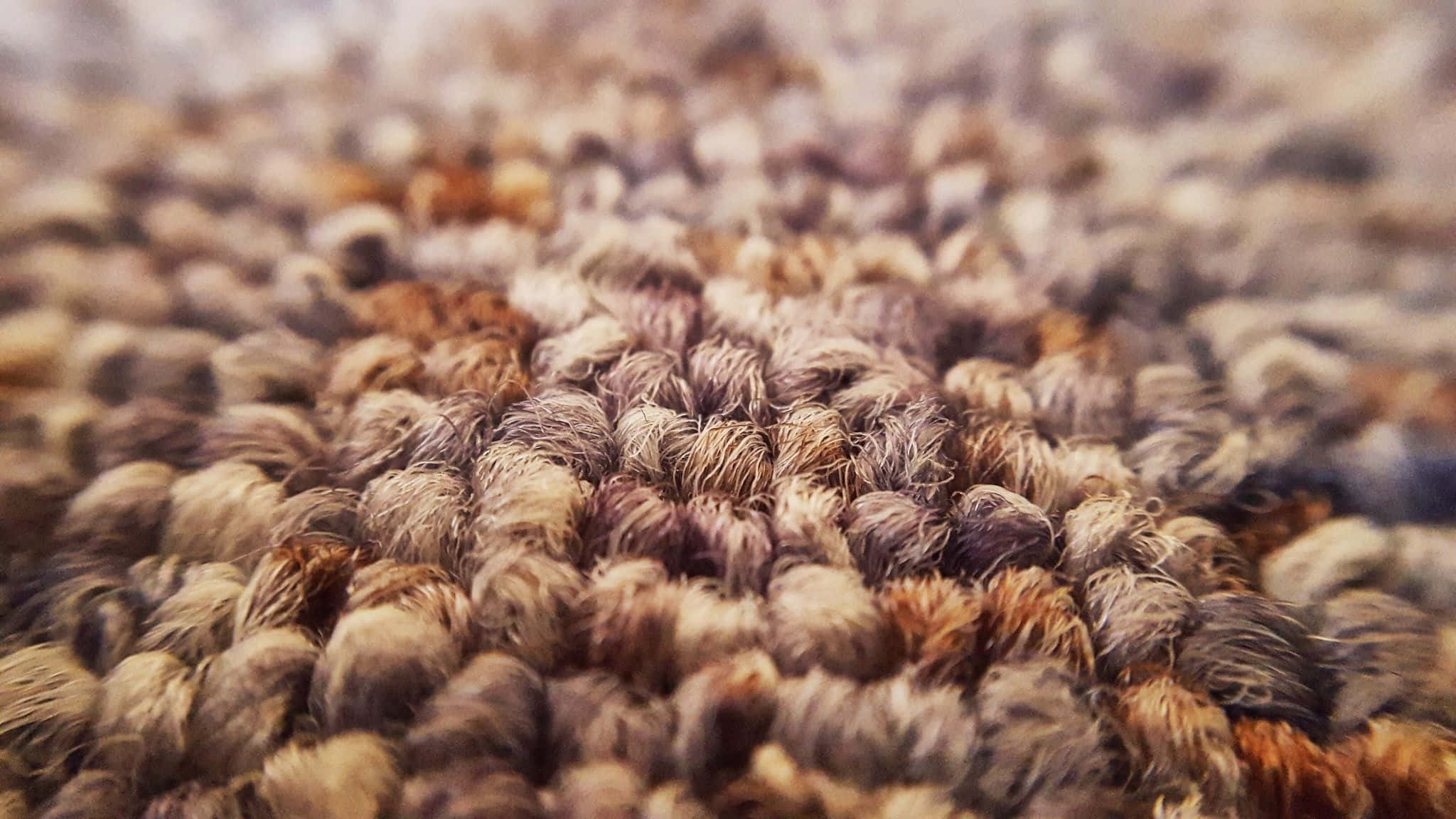closeup carpet fibers texture, textured rug, fluffy tufts, Full HD Desktop Wallpaper