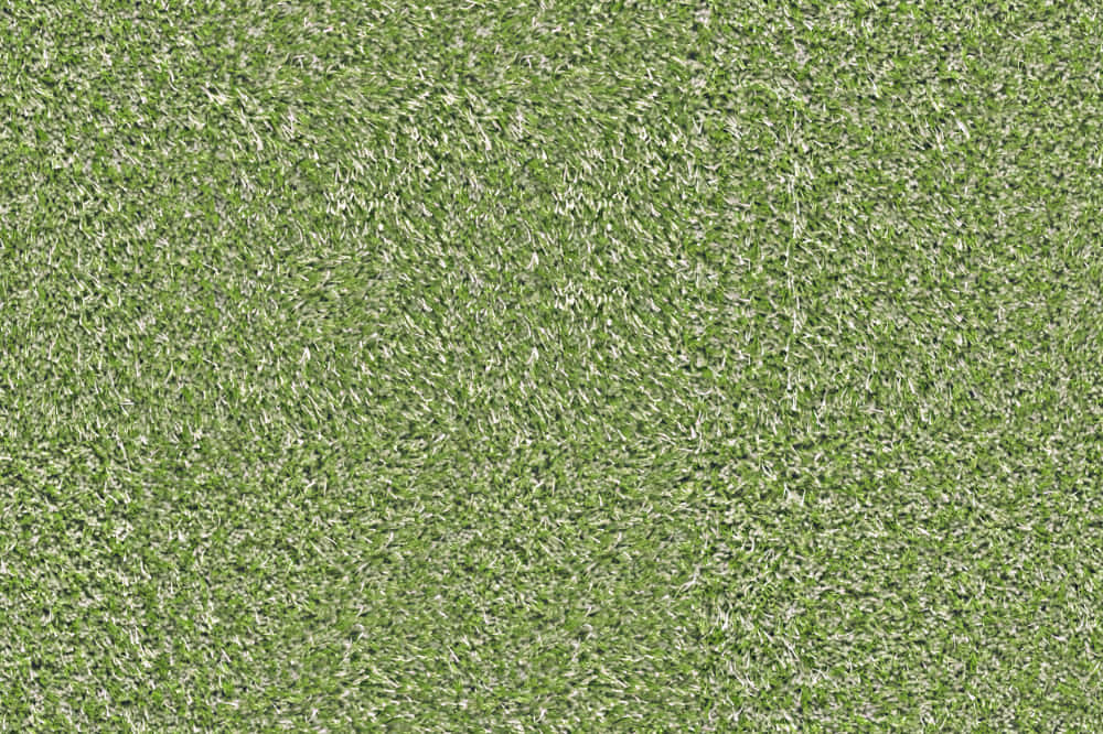 green carpet texture, dense green artificial turf, scattered white fibers, SD Desktop Wallpaper