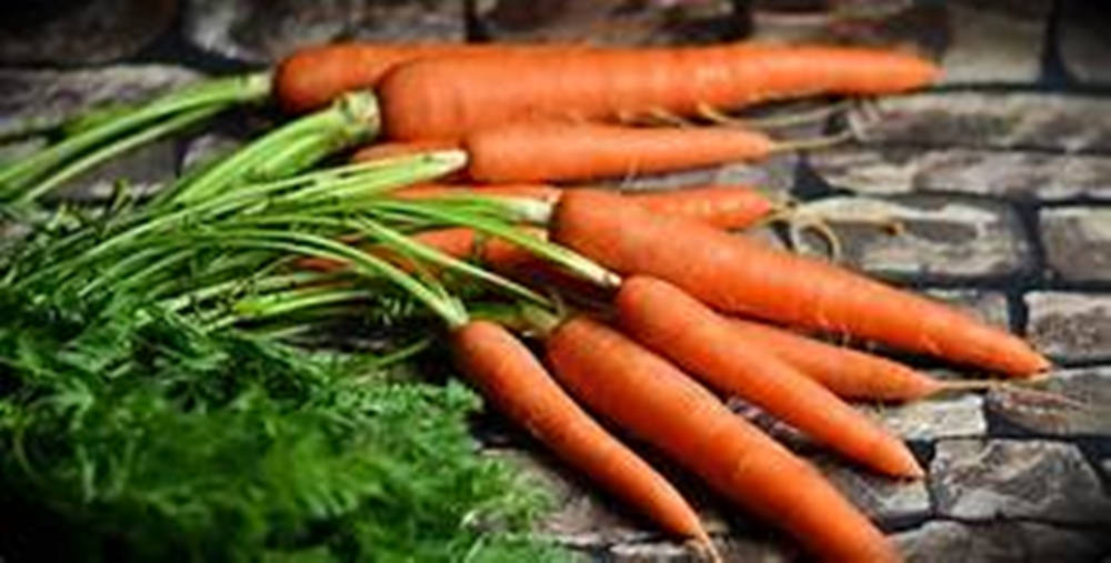 orange carrot, green tops, rustic stone surface, SD Desktop Wallpaper