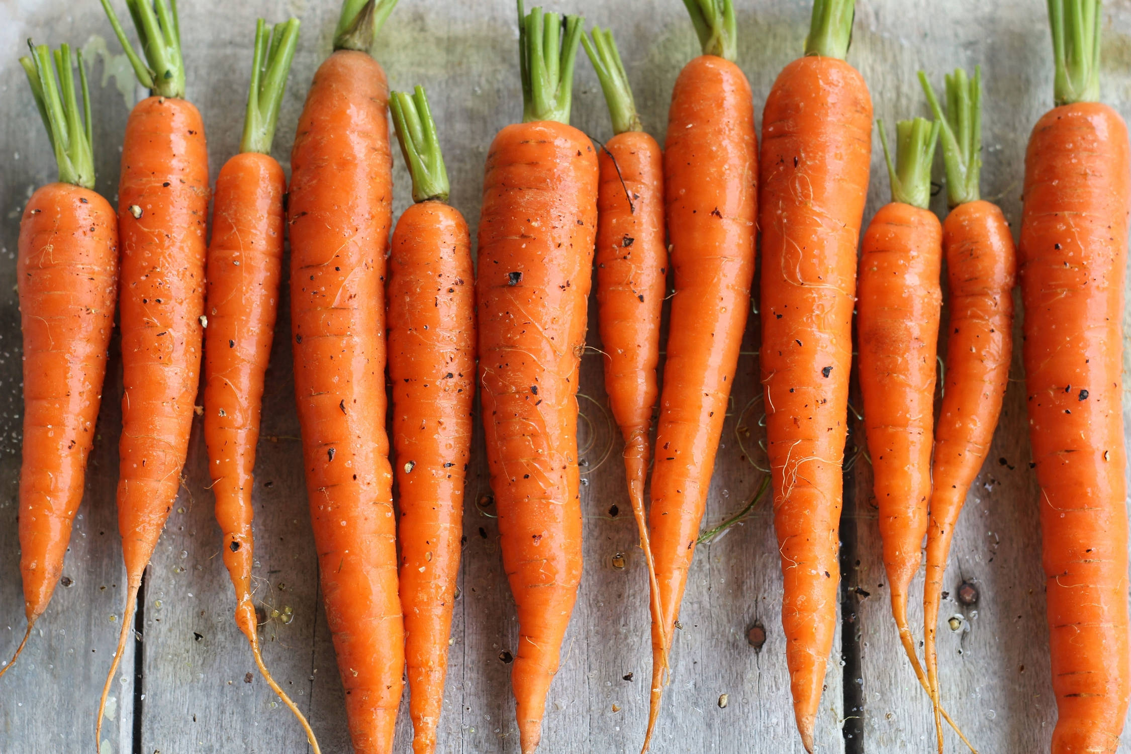 organic orange carrot, root vegetables, green tops, Full HD Desktop Wallpaper