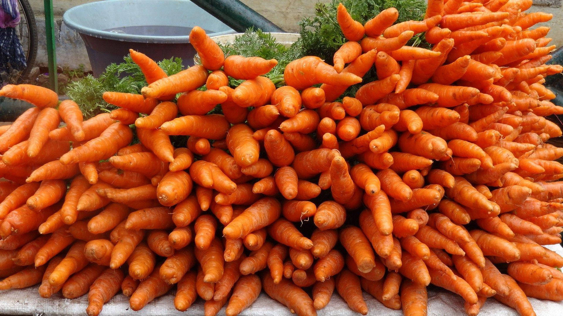 orange carrot, vegetables, tap roots, Full HD Desktop Wallpaper