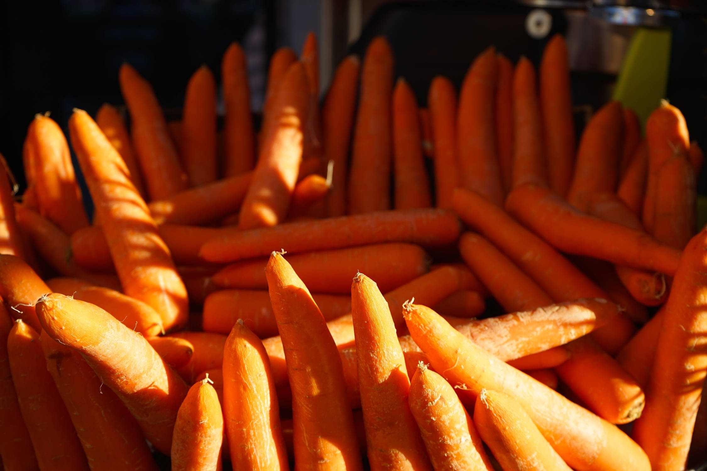 orange carrot root vegetables, sunlight, warm orange hues, Full HD Desktop Wallpaper