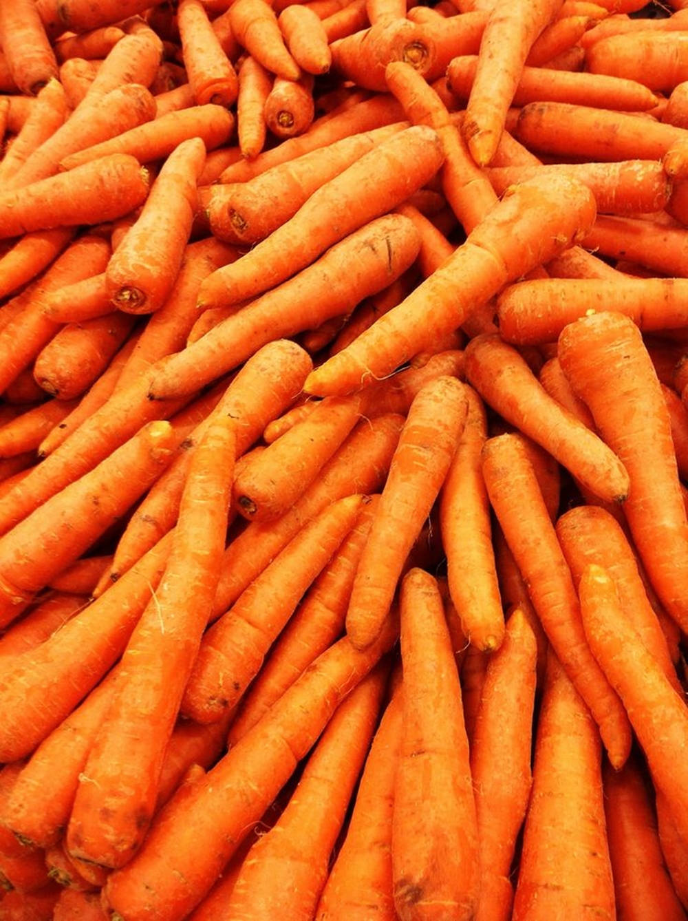 orange carrots, pile, no stem, HD Phone Wallpaper