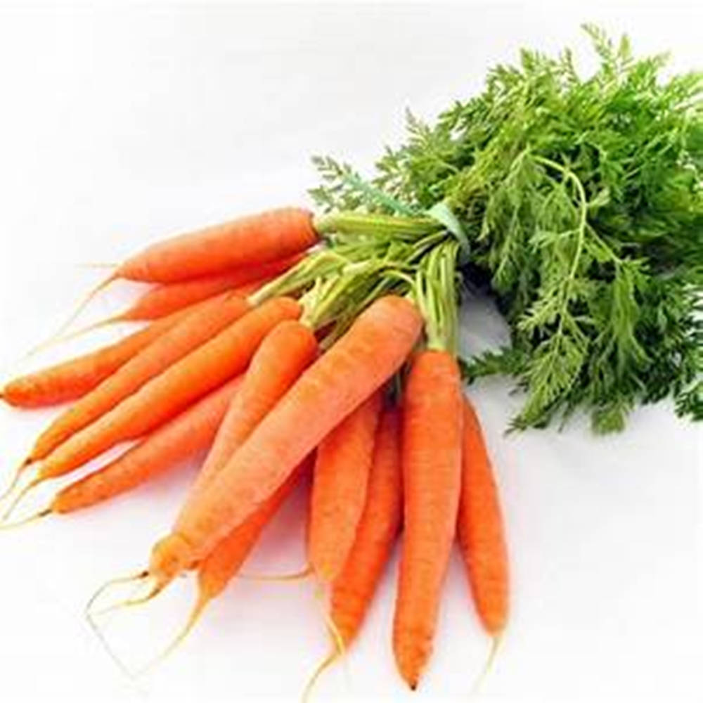 orange carrot, bright orange, green leafy tops, SD Desktop Wallpaper