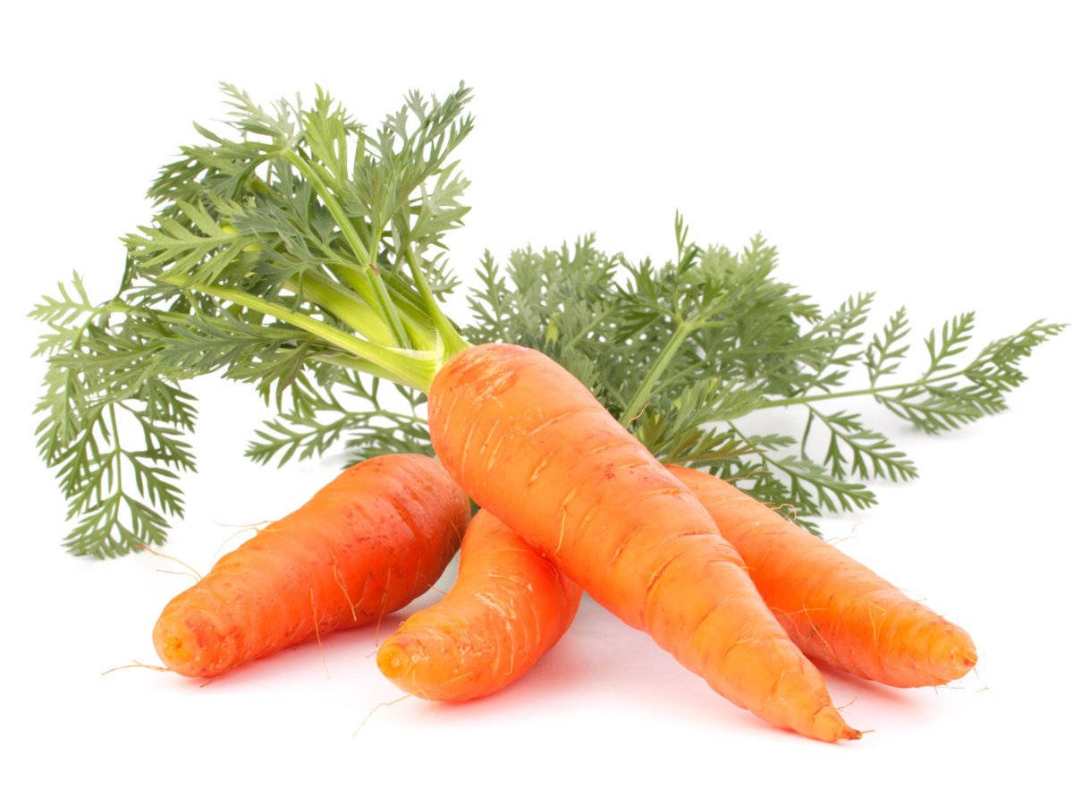 orange carrot, root vegetables, vibrant green tops, SD Desktop Wallpaper